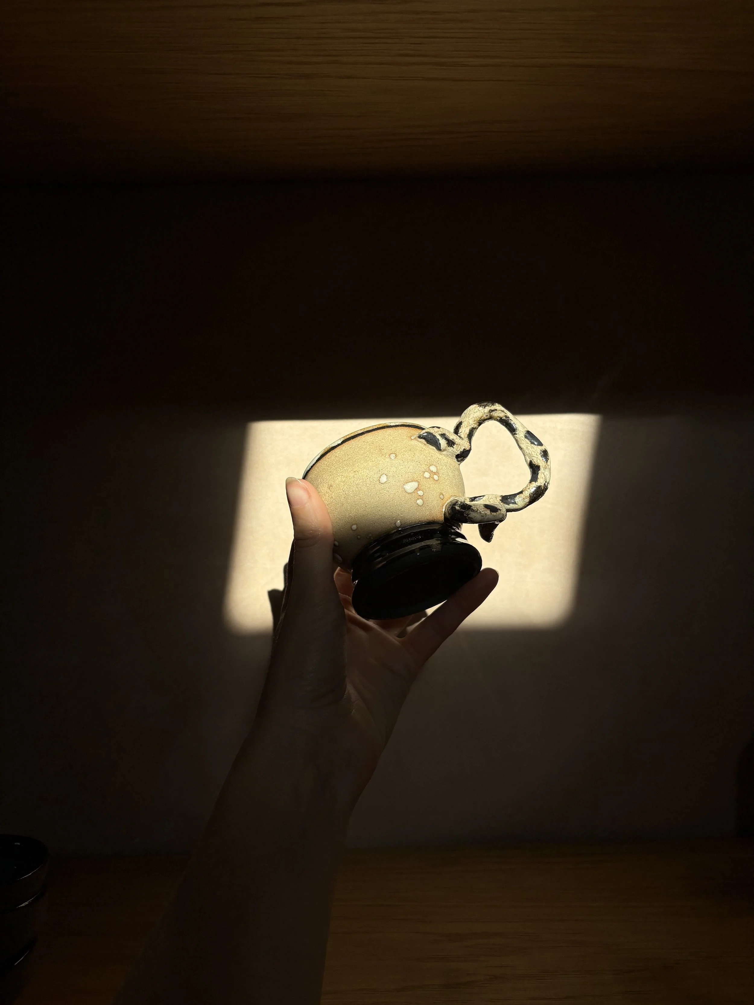 IMG_9530.jpeg