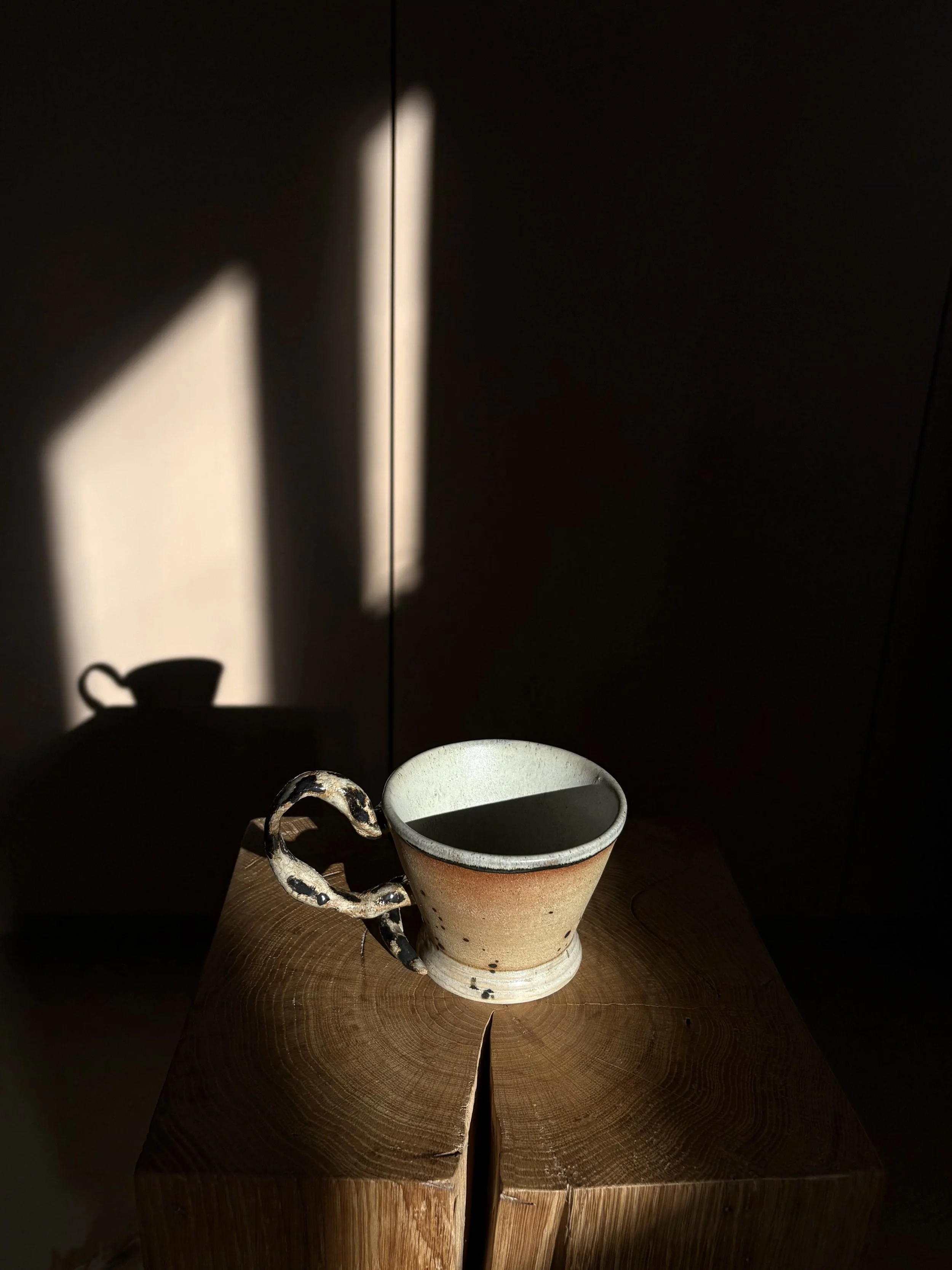 IMG_9134.jpeg