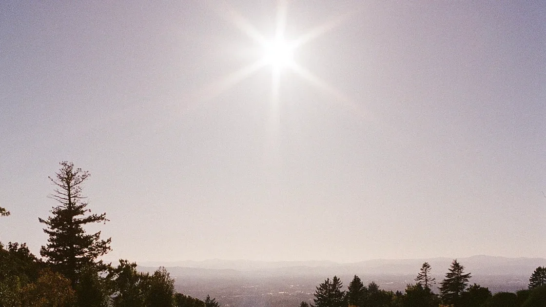 Springing Forward with Momentum 