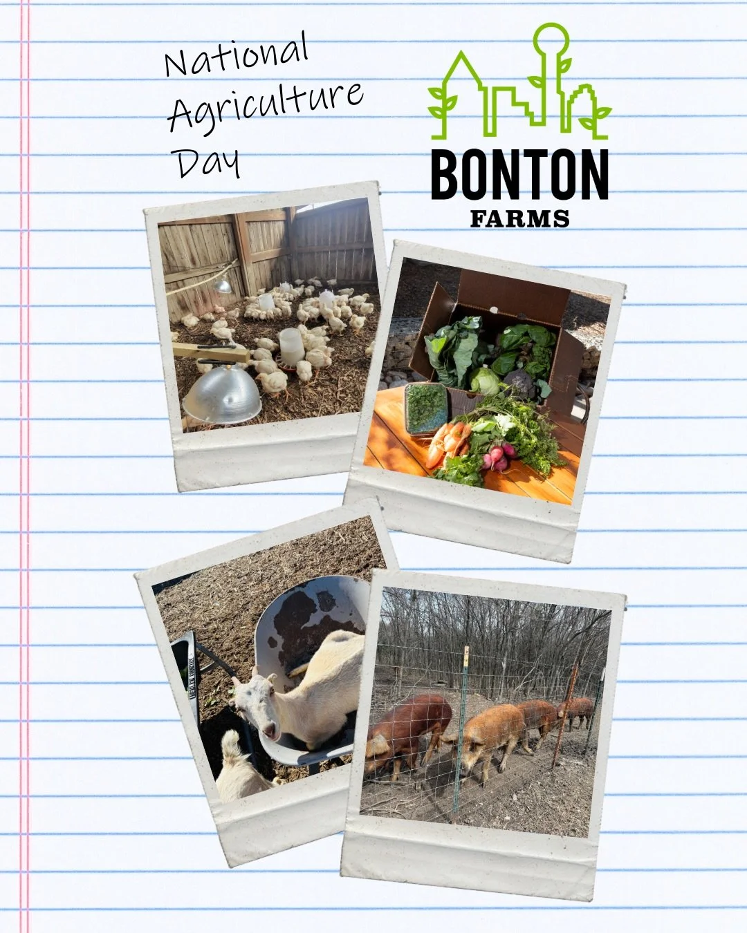 🌱 This National Agriculture Day, we&rsquo;re proud to highlight how farming can transform lives.

At Bonton Farms, agriculture is more than planting and harvesting 🥬 it&rsquo;s a pathway to purpose.

Through our SeedTime &amp; Harvest Apprenticeshi