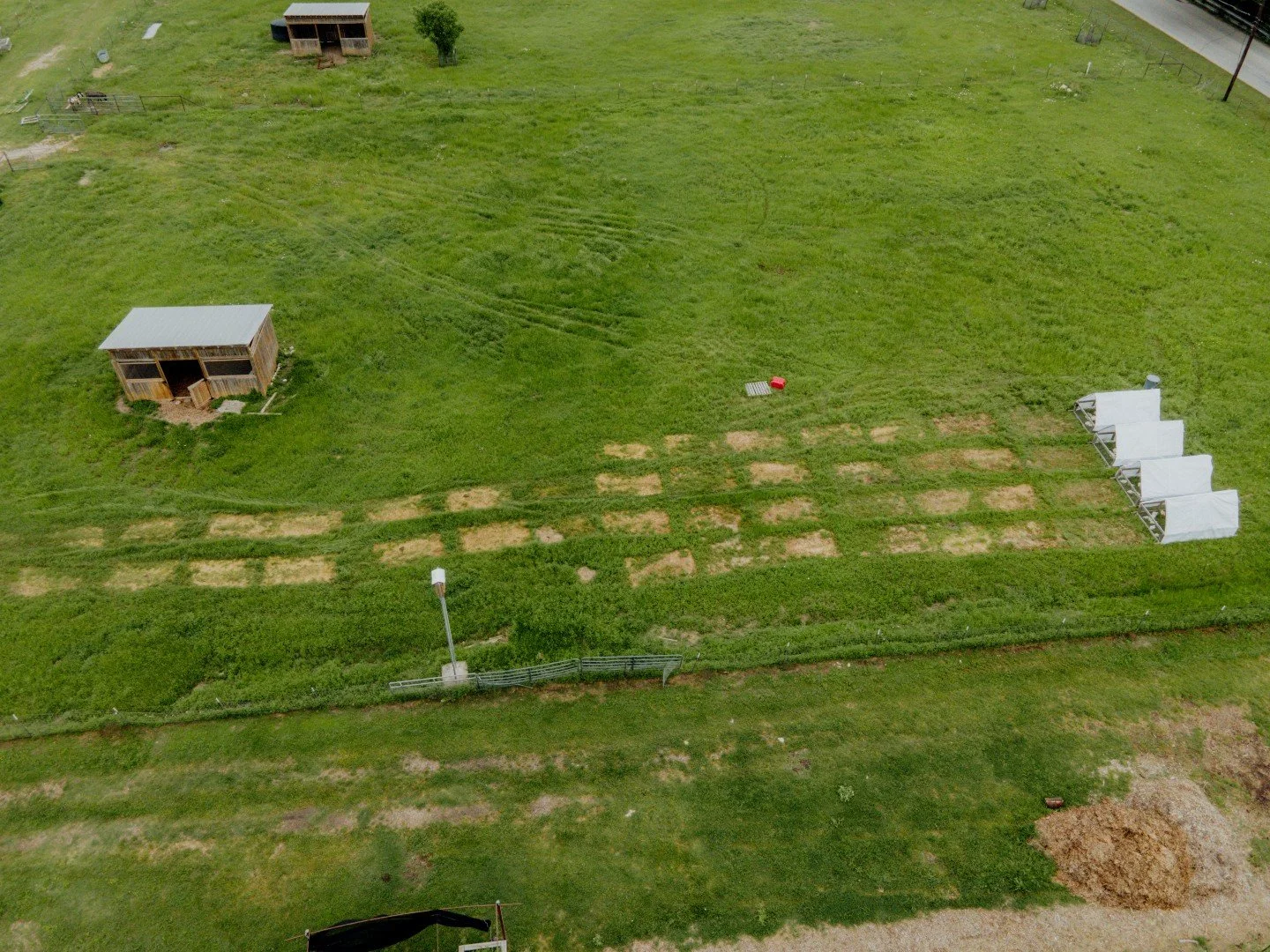 On this National Agriculture Day 🌱🐥 At Bonton Farms, every patch of soil tells a story of restoration, resilience, and renewal. What you see here is not just land. It is a living system being rebuilt through regenerative practices that heal the ear