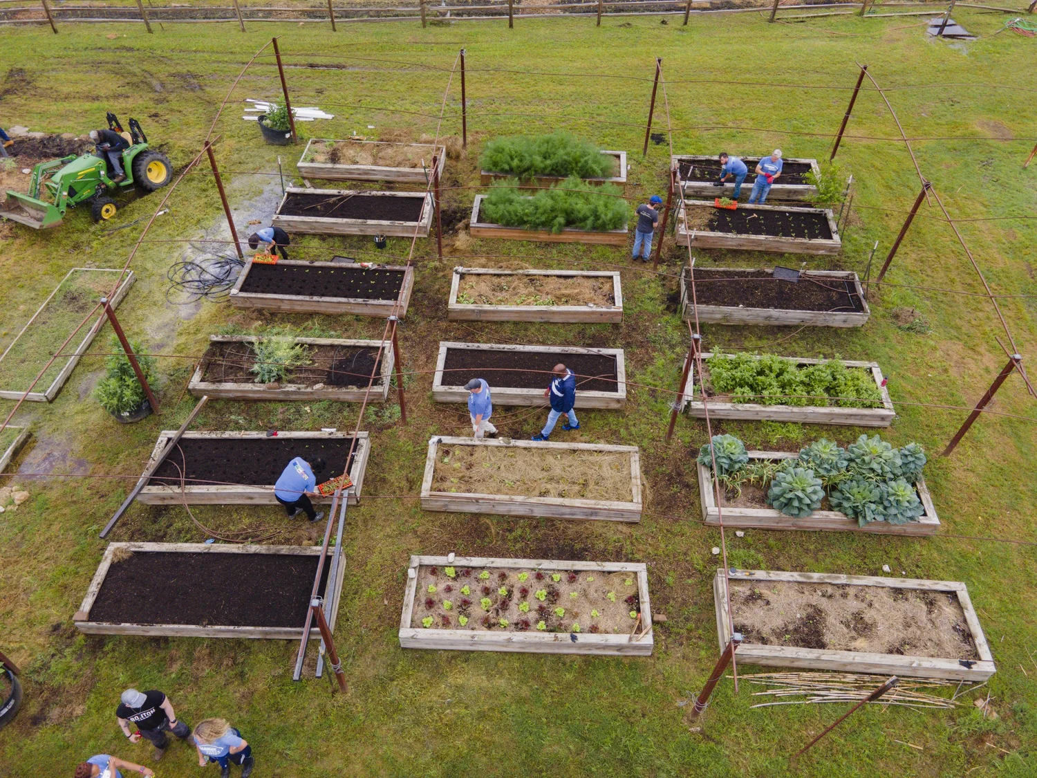 BONTON FARMS CSA BOX — BONTON FARMS