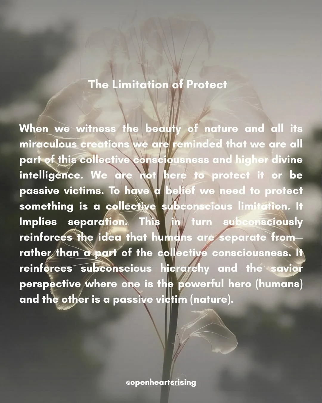 Living in a world becoming more aware of its self. The world is your playground of creation make it what you will. Beliefs create reality thoughts become things.#subconscioushealing #nature #weareone #mindbodyspirit