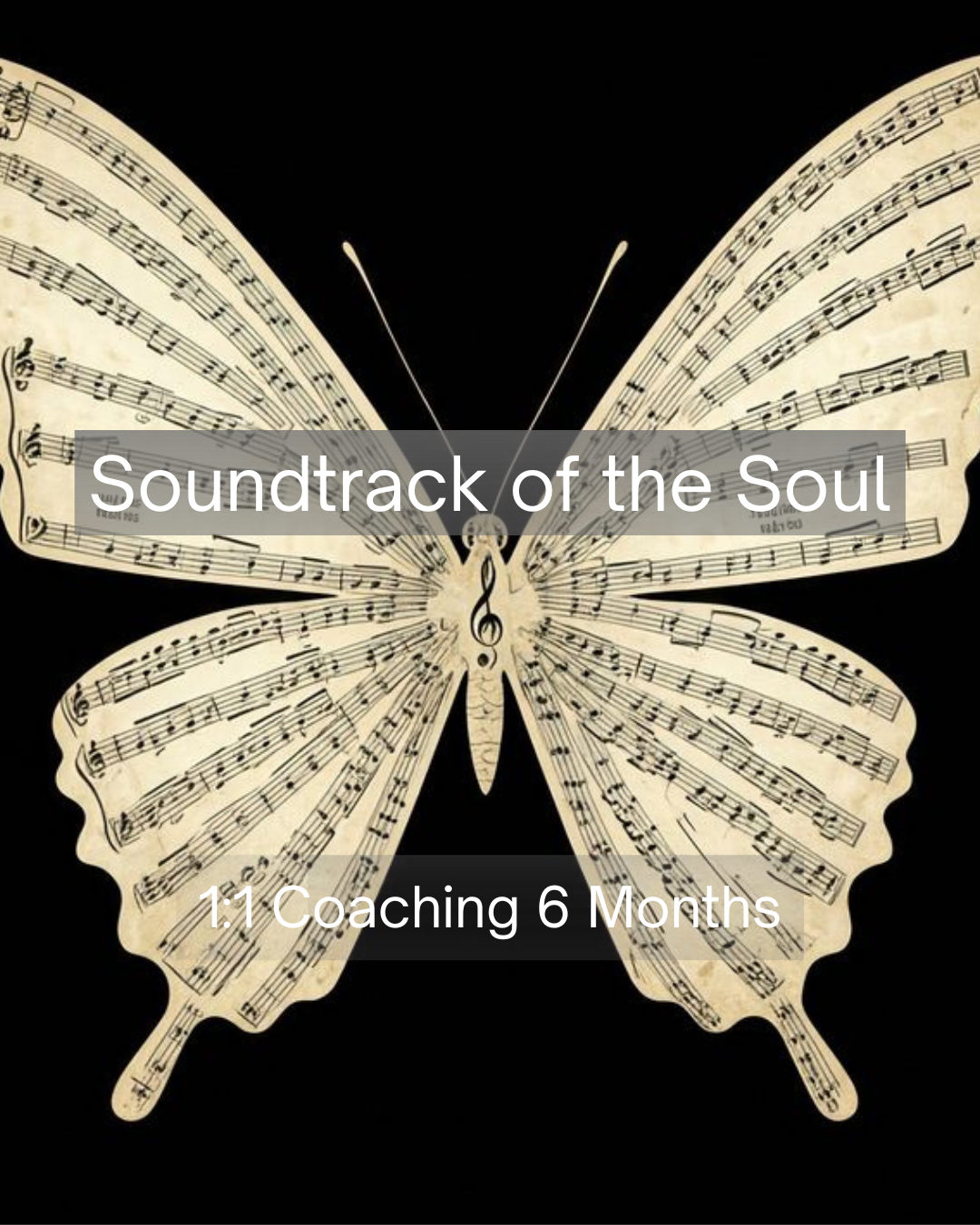 Soundtrack of the Soul