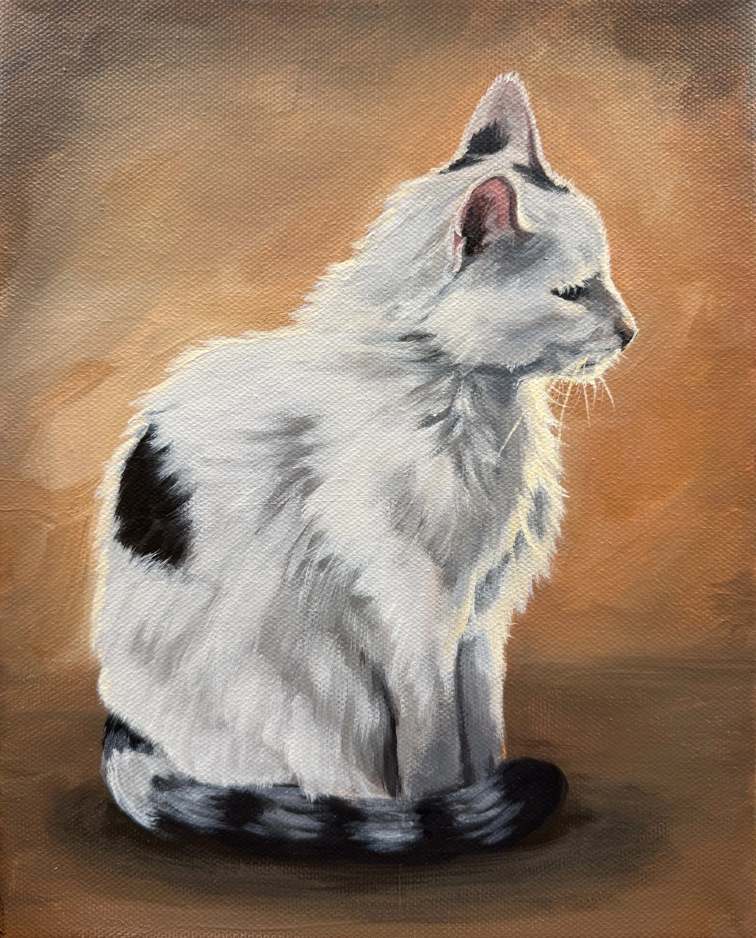 Dassah Maketa 12.12.2025_3.jpg