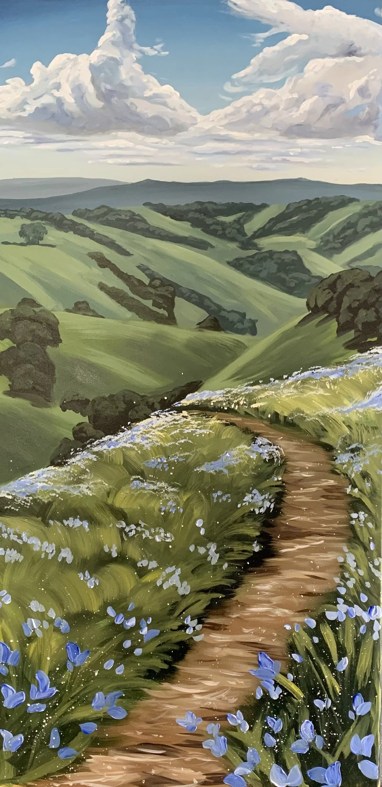 A2420251 Valley in Spring .jpg