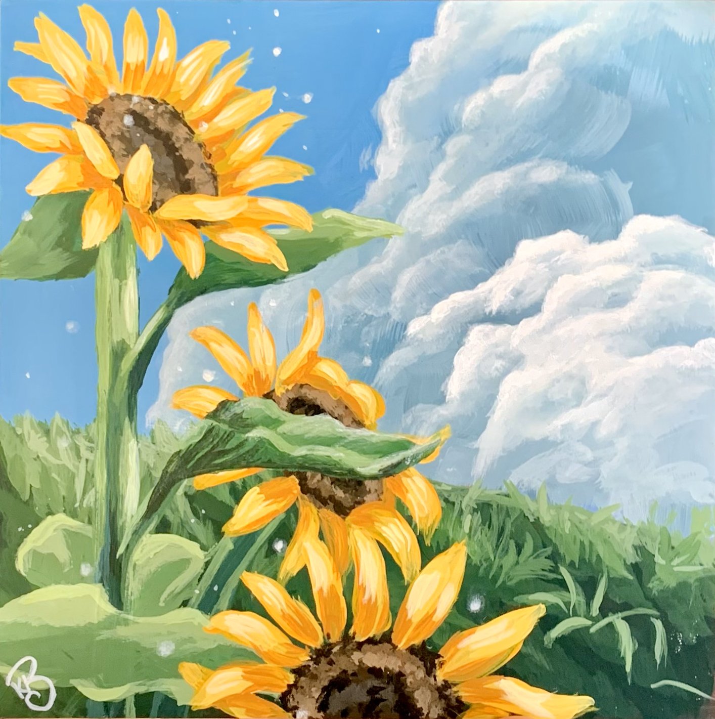 Sunflowers and Clouds.jpg