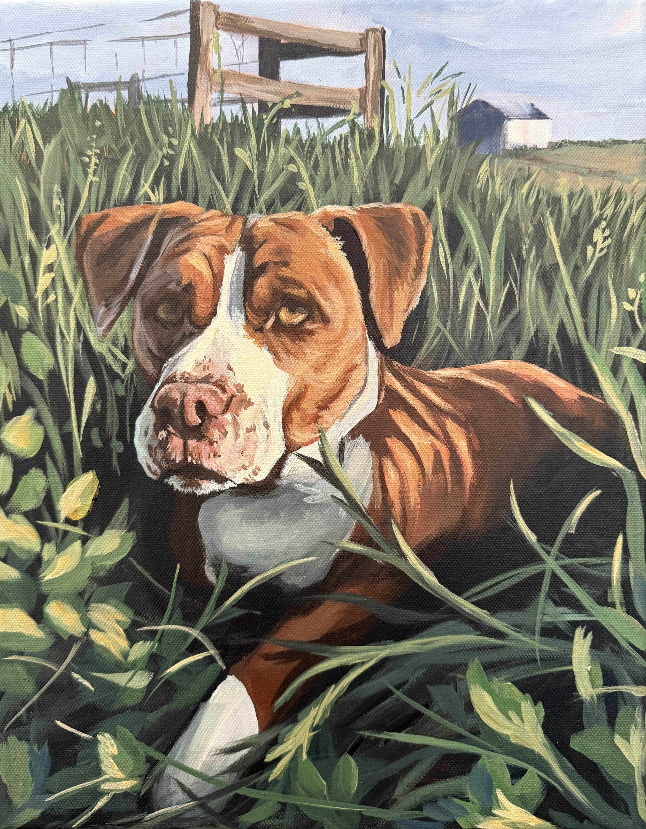 Dassah Maketa 1.27.26_2.jpg