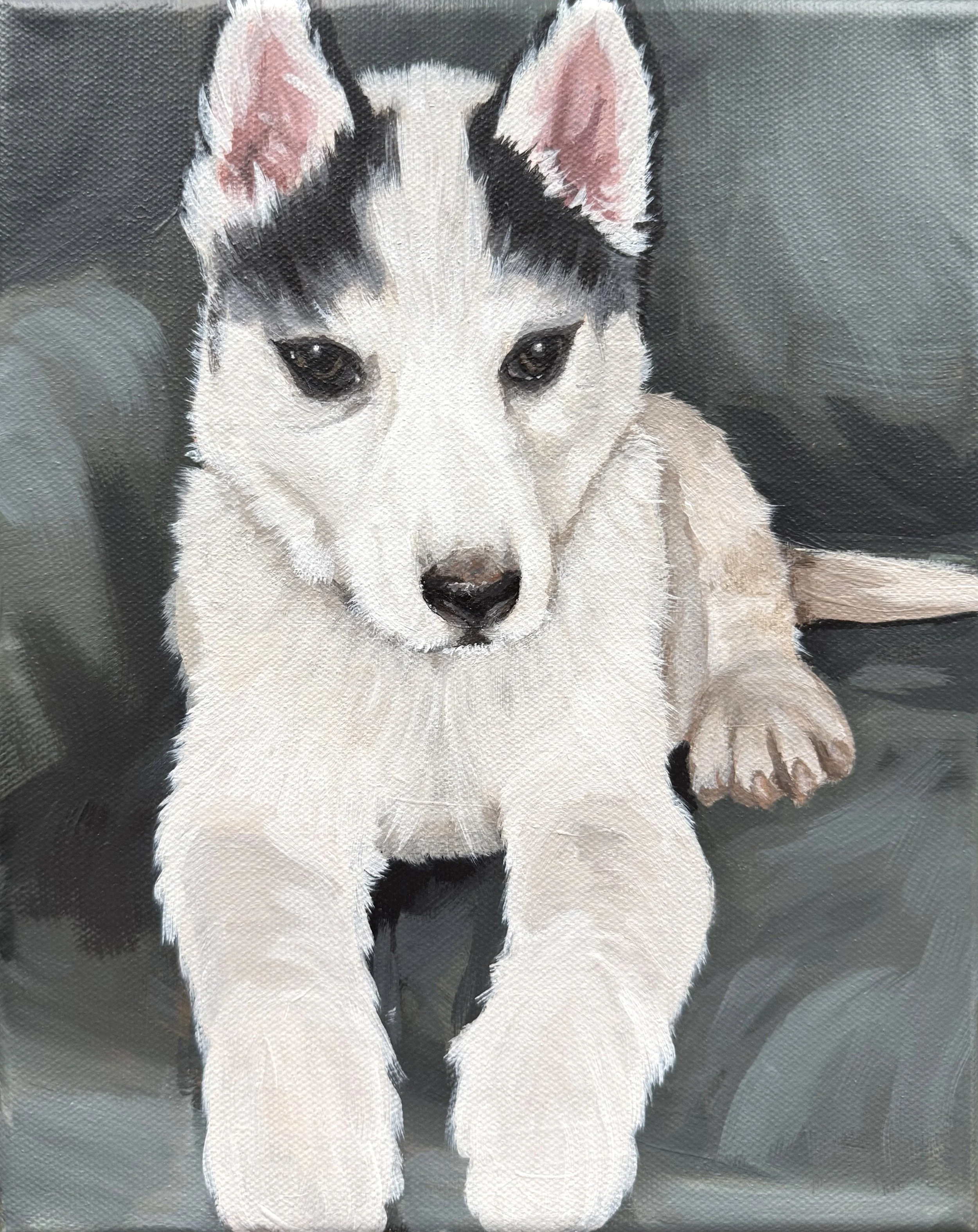 Dassah Maketa 12.12.2025_2.jpg