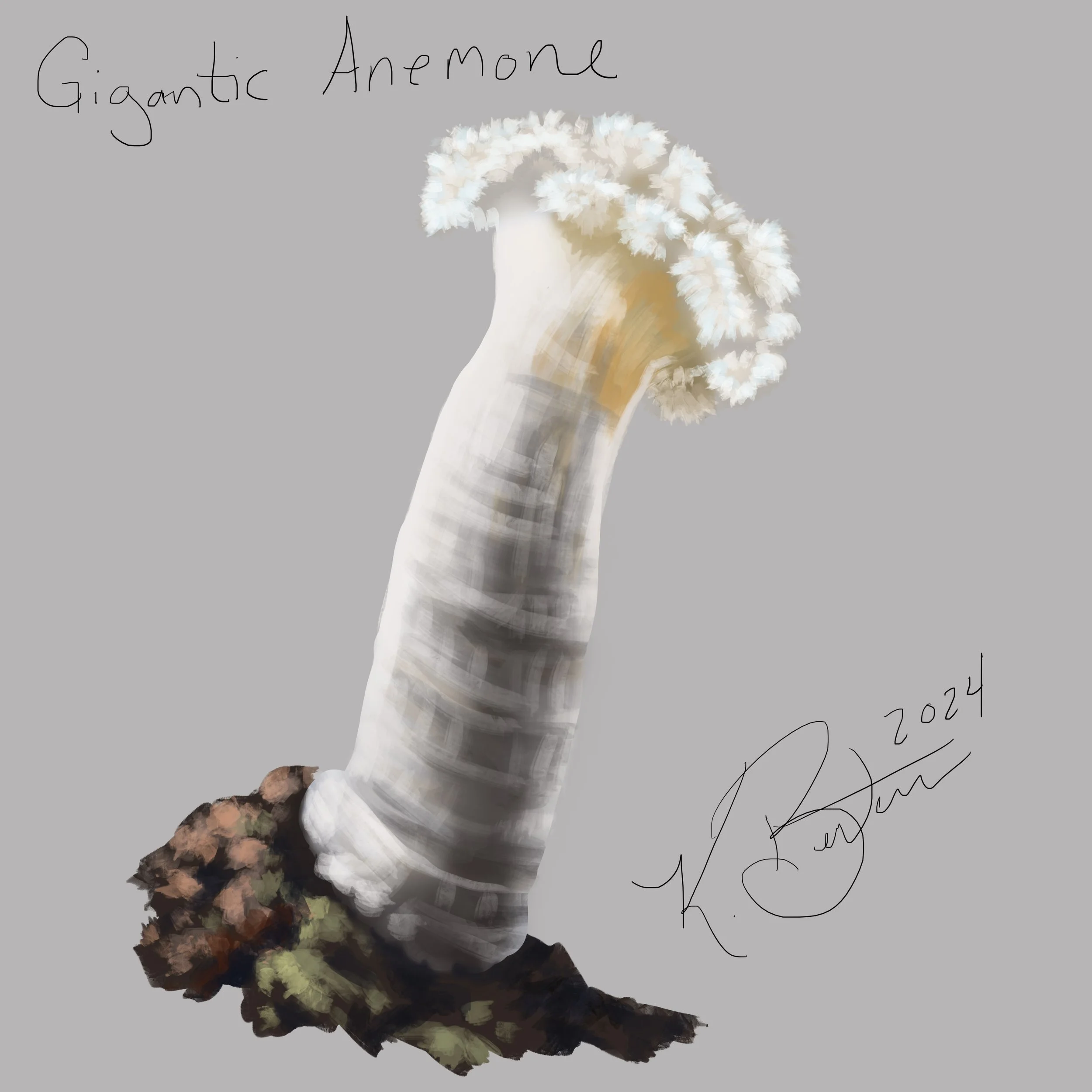 Gigantic Anemone ID Art.jpg