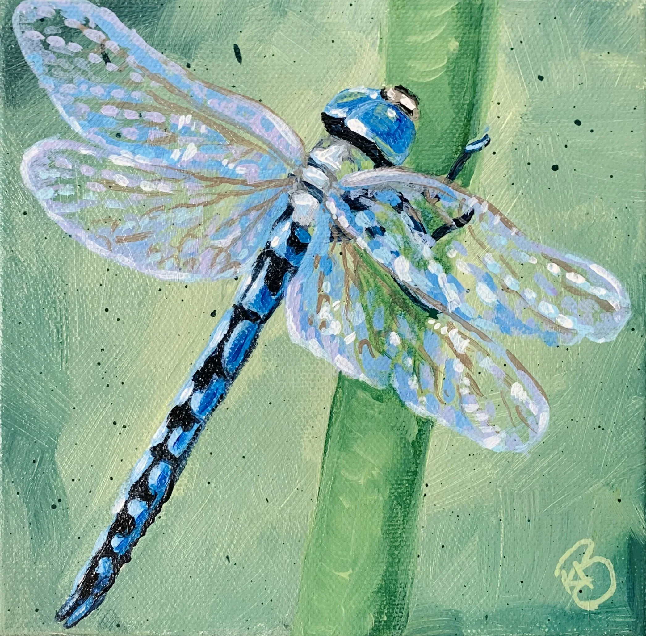 Ben's Dragonfly.jpg