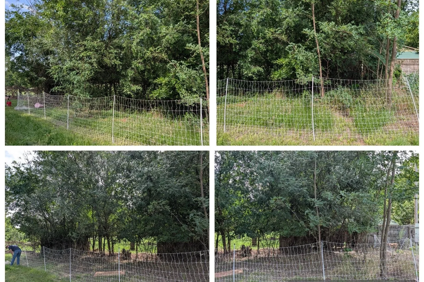 BittnerFence.jpg