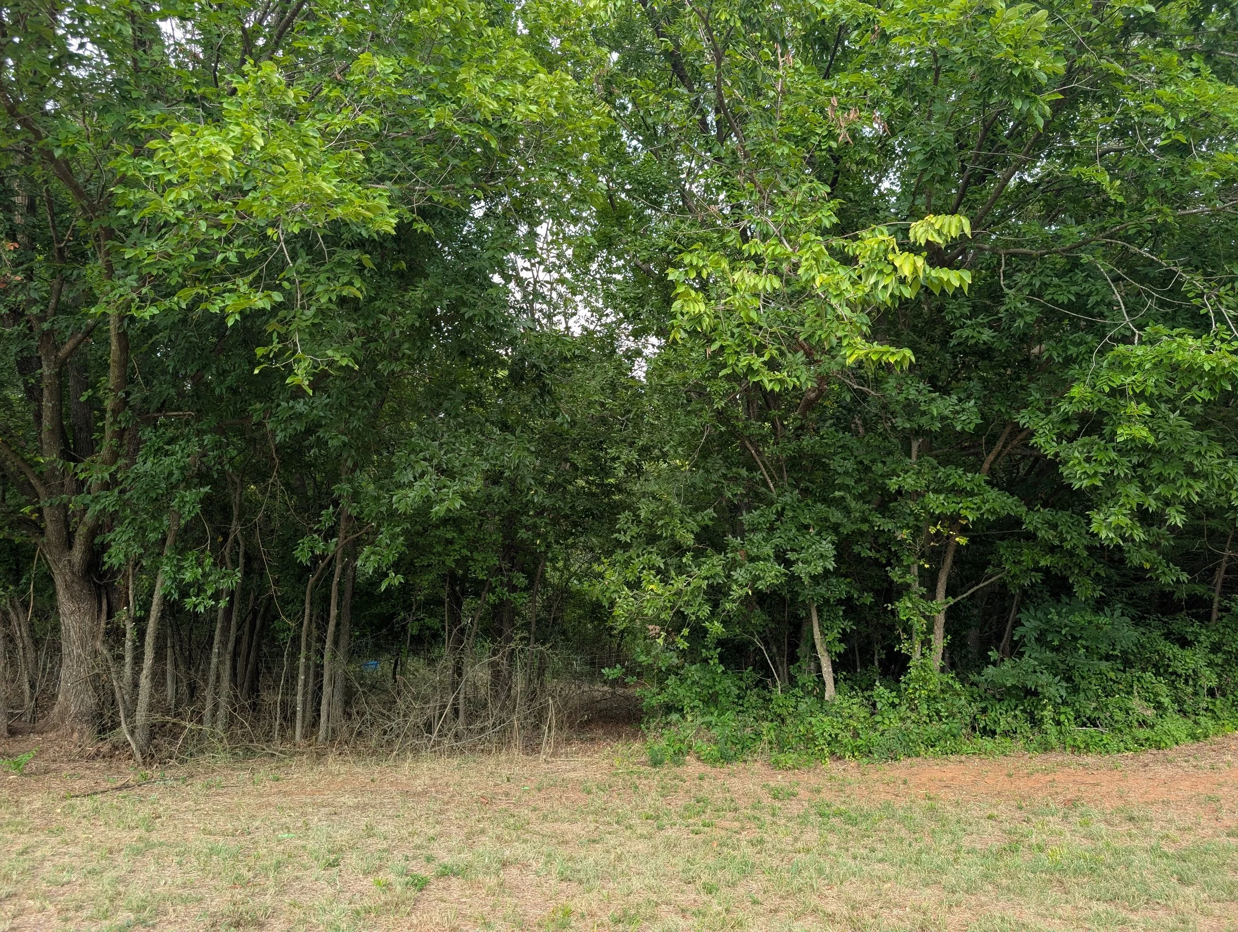 PXL_20260724_225724556.jpg