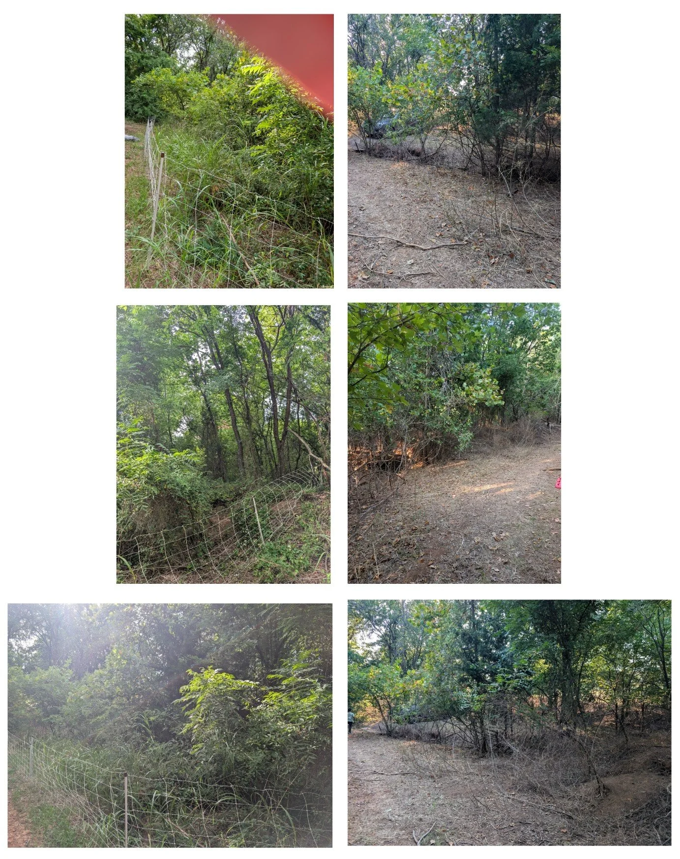Collage_2026-08-04_13_41_31~2.jpg