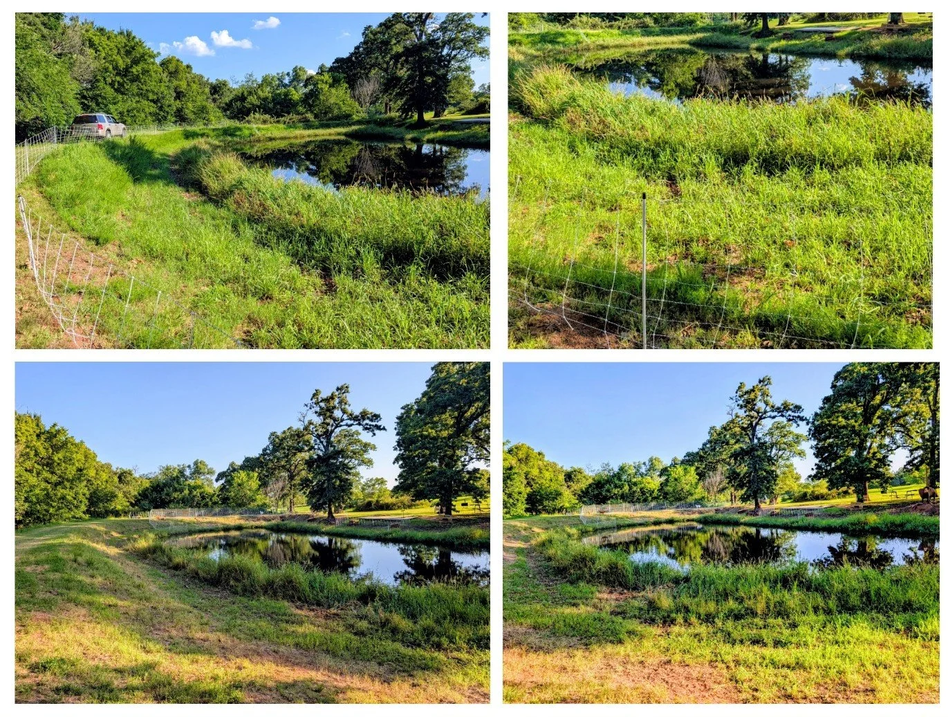PurdyPond.jpg