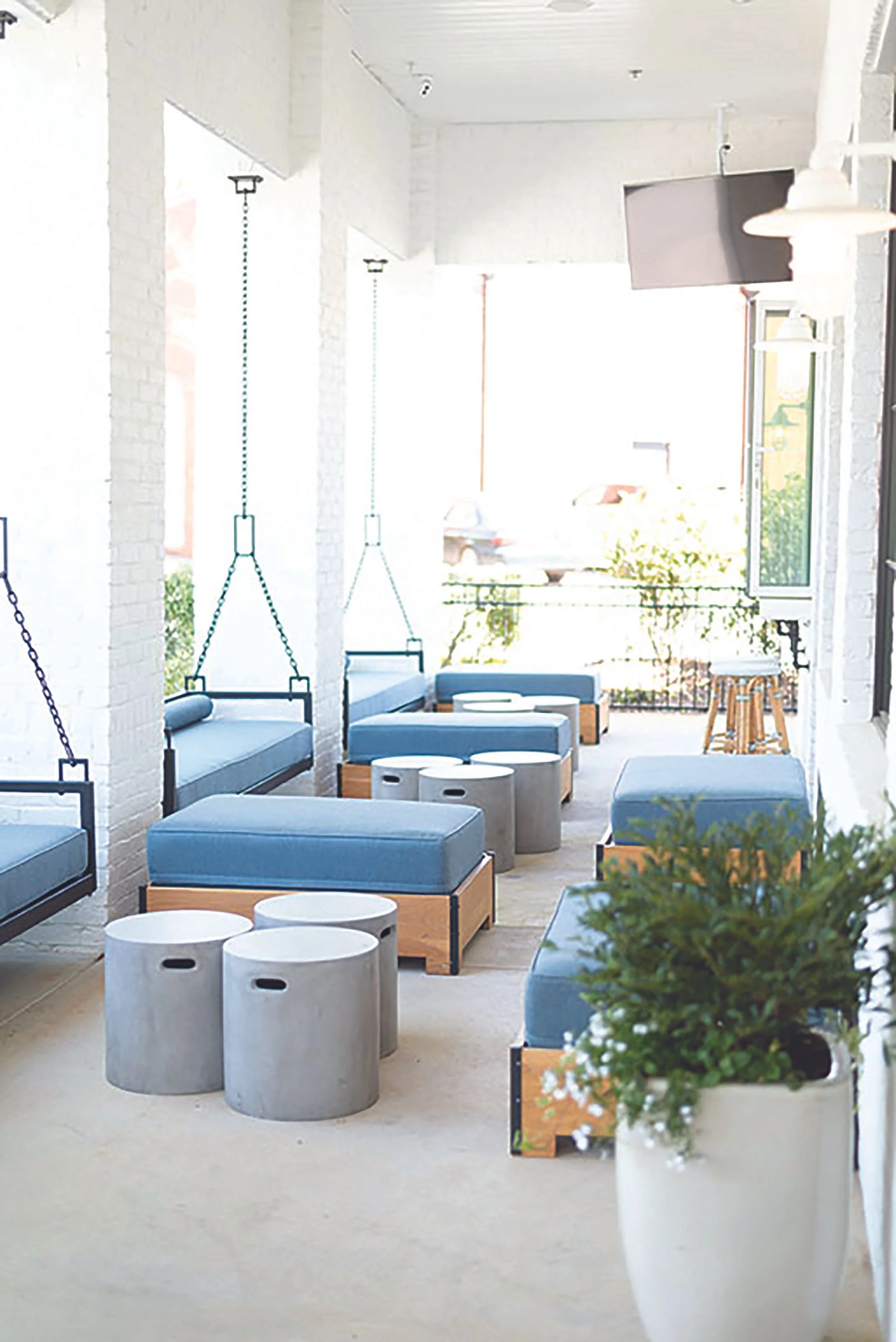 Bright, modern indoor seating area with blue cushioned benches mounted on wooden bases, concrete stools, and potted plant near window.