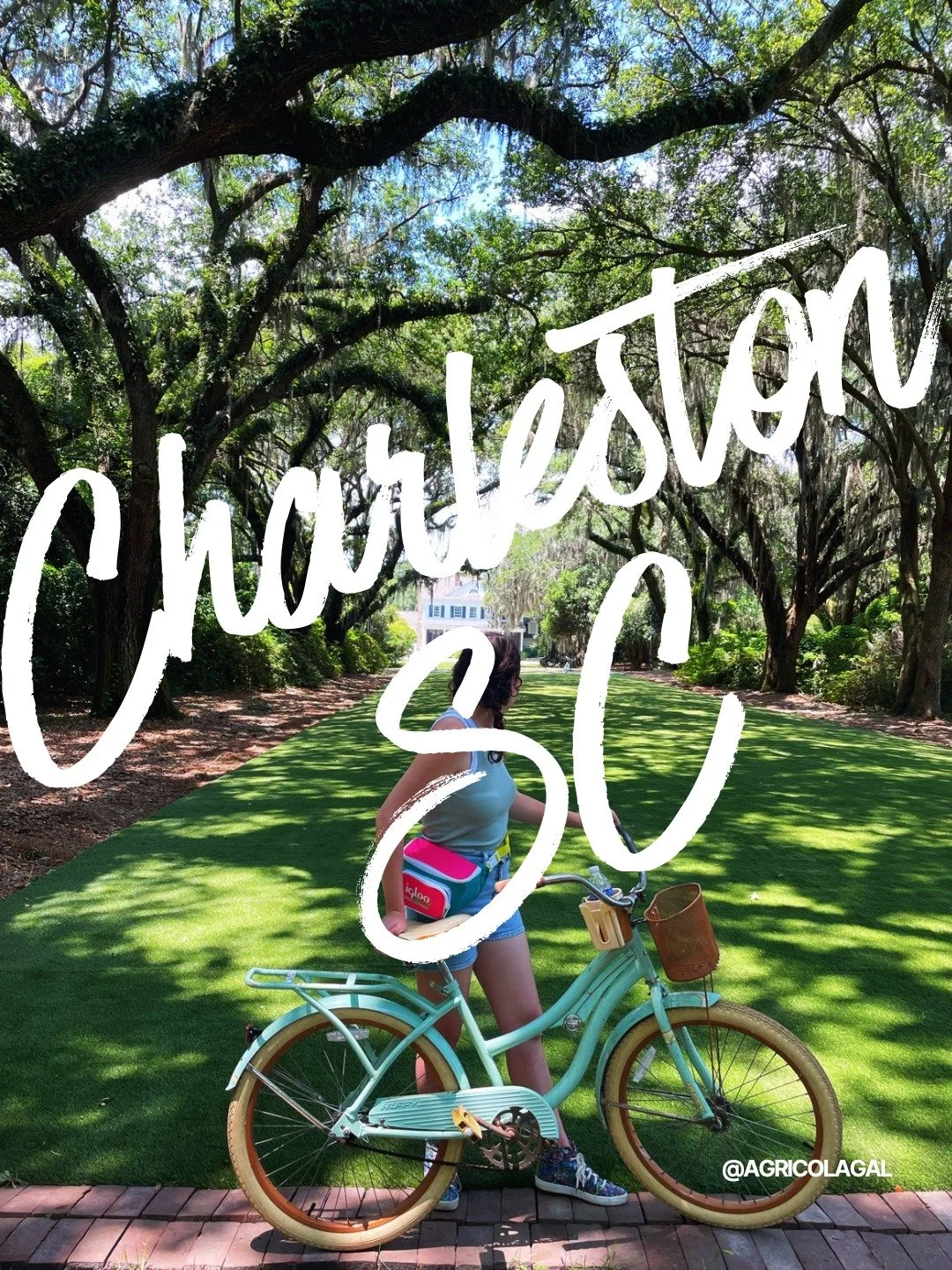 After visiting my dear friend this past weekend in Charleston, I wanted to share my recommendations and experiences visiting this charming Southern town over the years! It is a perfect trip for those who love strolling down historic cobblestone stree