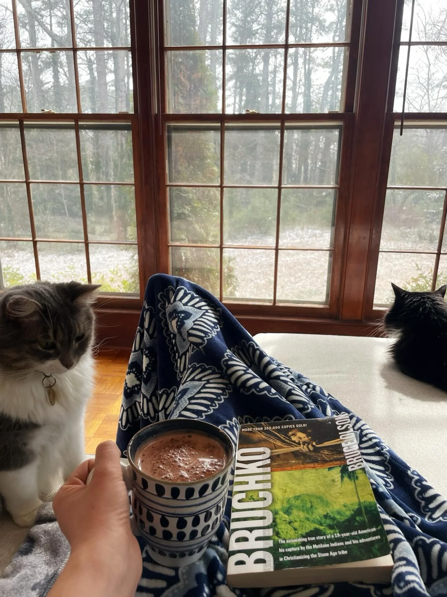 Wherever you are planted today, I hope you get a moment to enjoy a hot drink and a good book! 📖 It is a rare ❄️ snow day ❄️ here so I am cozied up starting the &ldquo;B&rdquo; book for my alphabet challenge (reading books with only that specific let