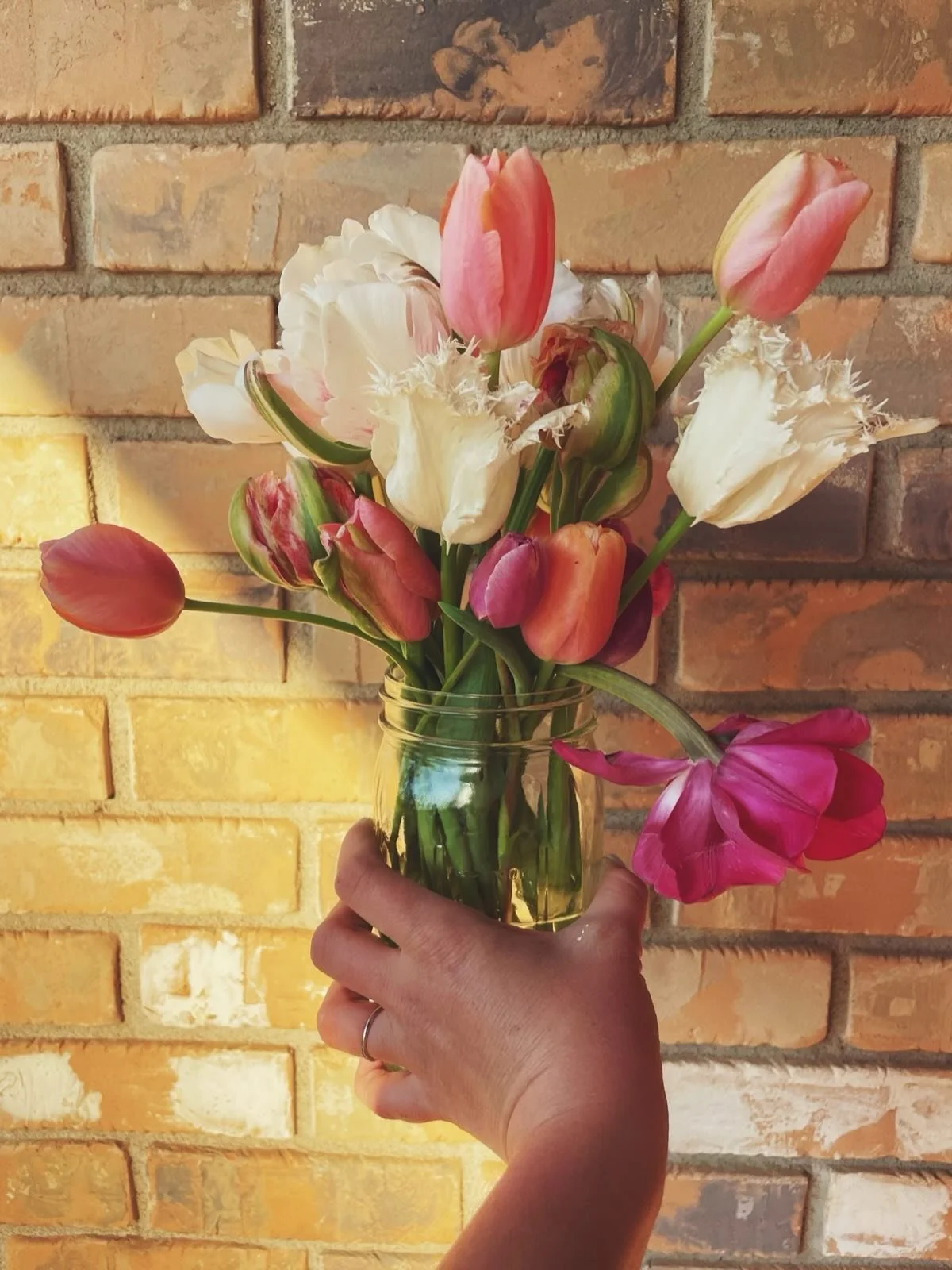 tiptoeing through the tulips and fully embracing spring 🌷 💐 I love supporting @fieldsofgraceflowerfarm and their mission to minister to women who have experienced trauma or abuse and provide a respite for caregivers!