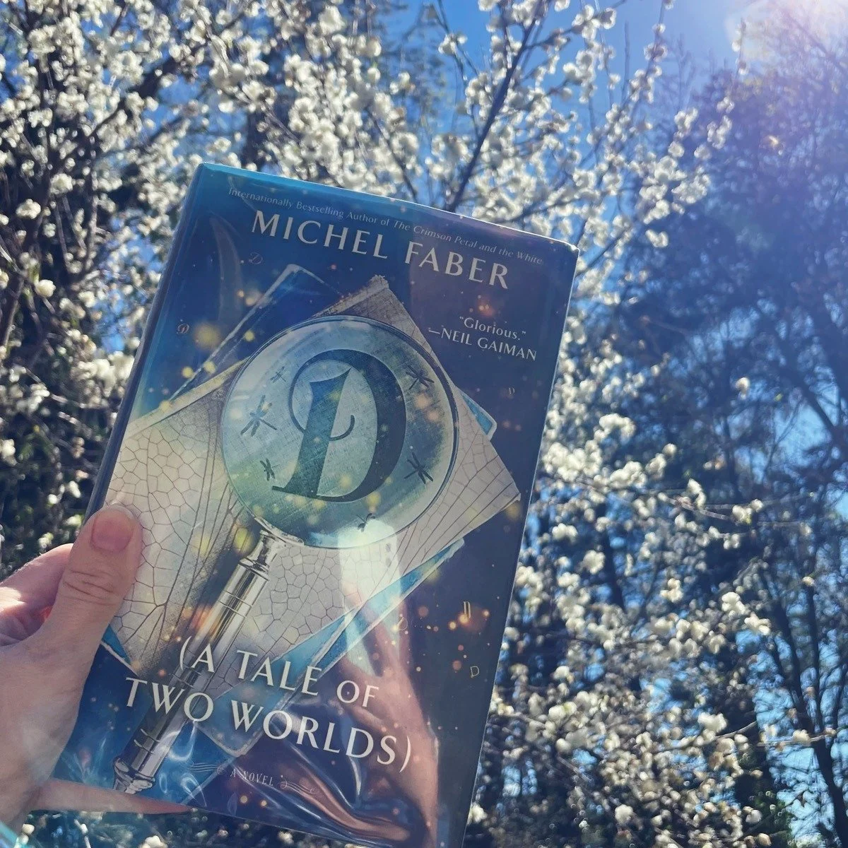 &ldquo;The earth, being earth, cannot feel gratitude or award us with medals, but it can grow flowers, and that is our reward.&rdquo;
- Michel Faber, "D" ★★★ 
Who could resist a book literally titled "D" while completing an alphab
