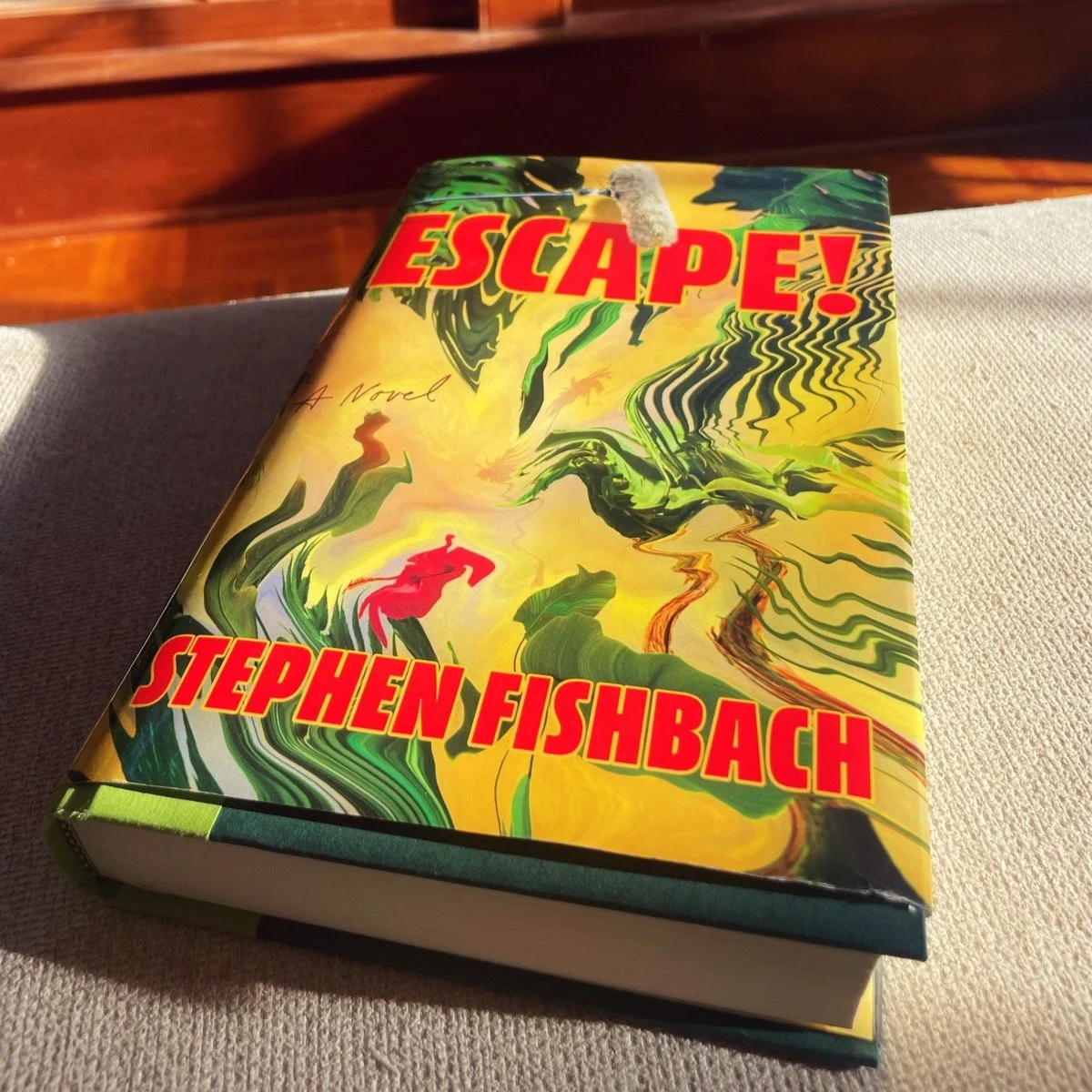 JANUARY 2026 release, "Escape!" by former Survivor contestant, Stephen Fishbach ★★★★ || this book may be a good fit for you if you enjoy: 
🌴 reality TV behind-the-scenes 
🌴 well-written character development 
🌴 crazy twists and turns 
🌴