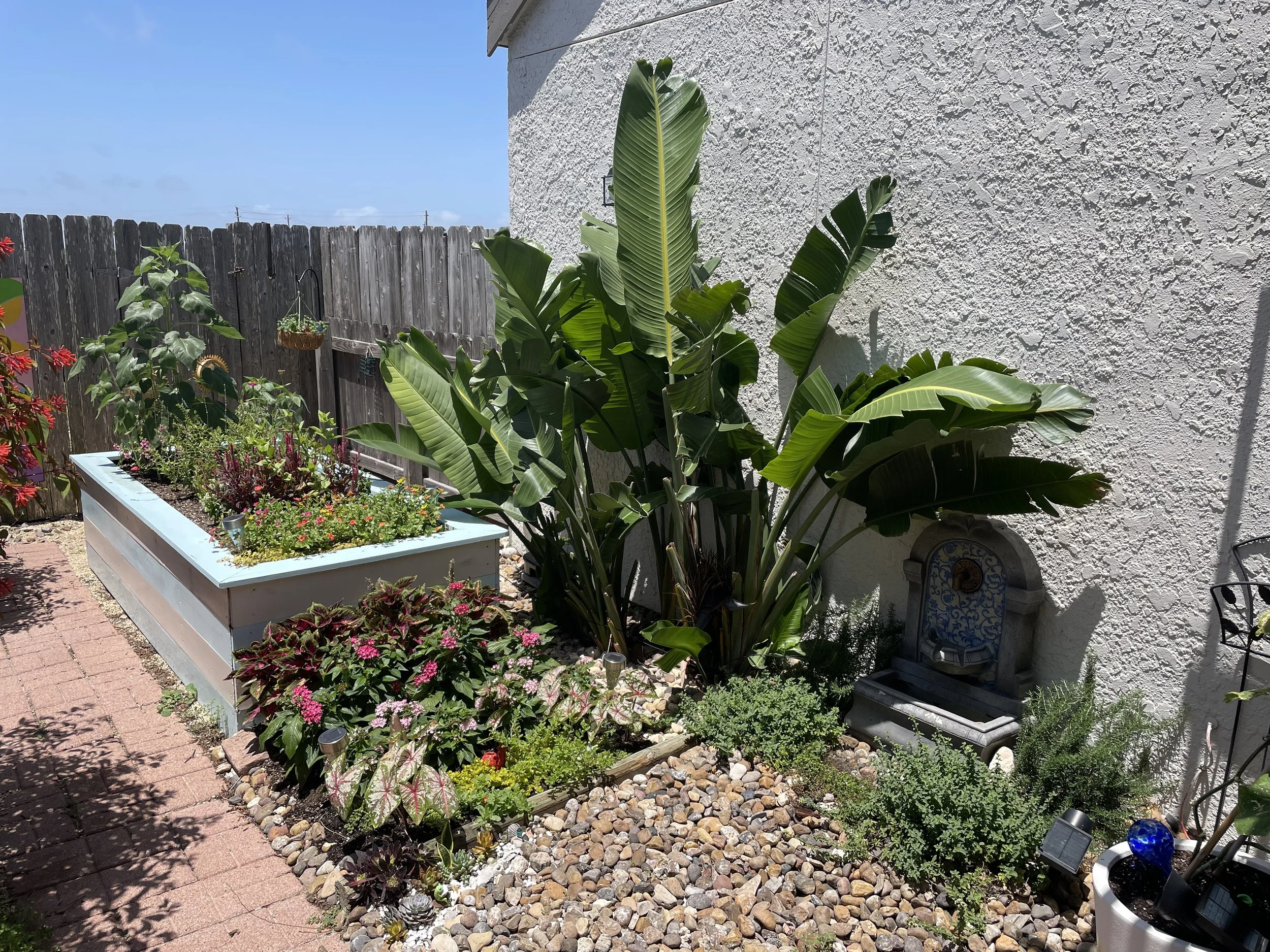 The sticker burr backyard transformed with a raised planter bed, new plants, and a water feature