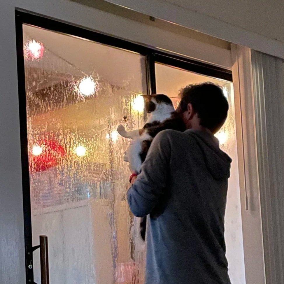 Michael & Lily Watching Tree Frog TV