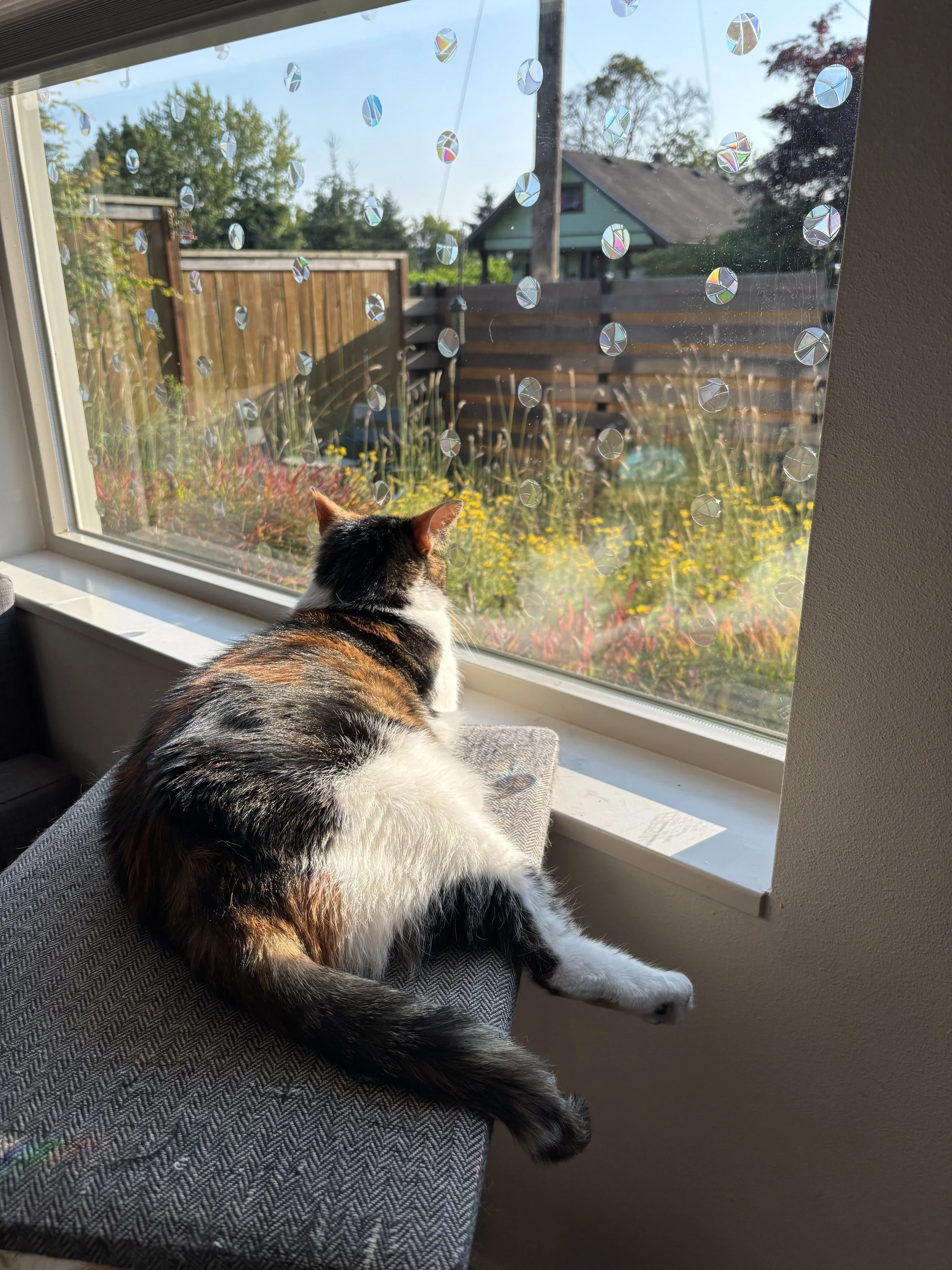 Everything the light touches is her kingdom