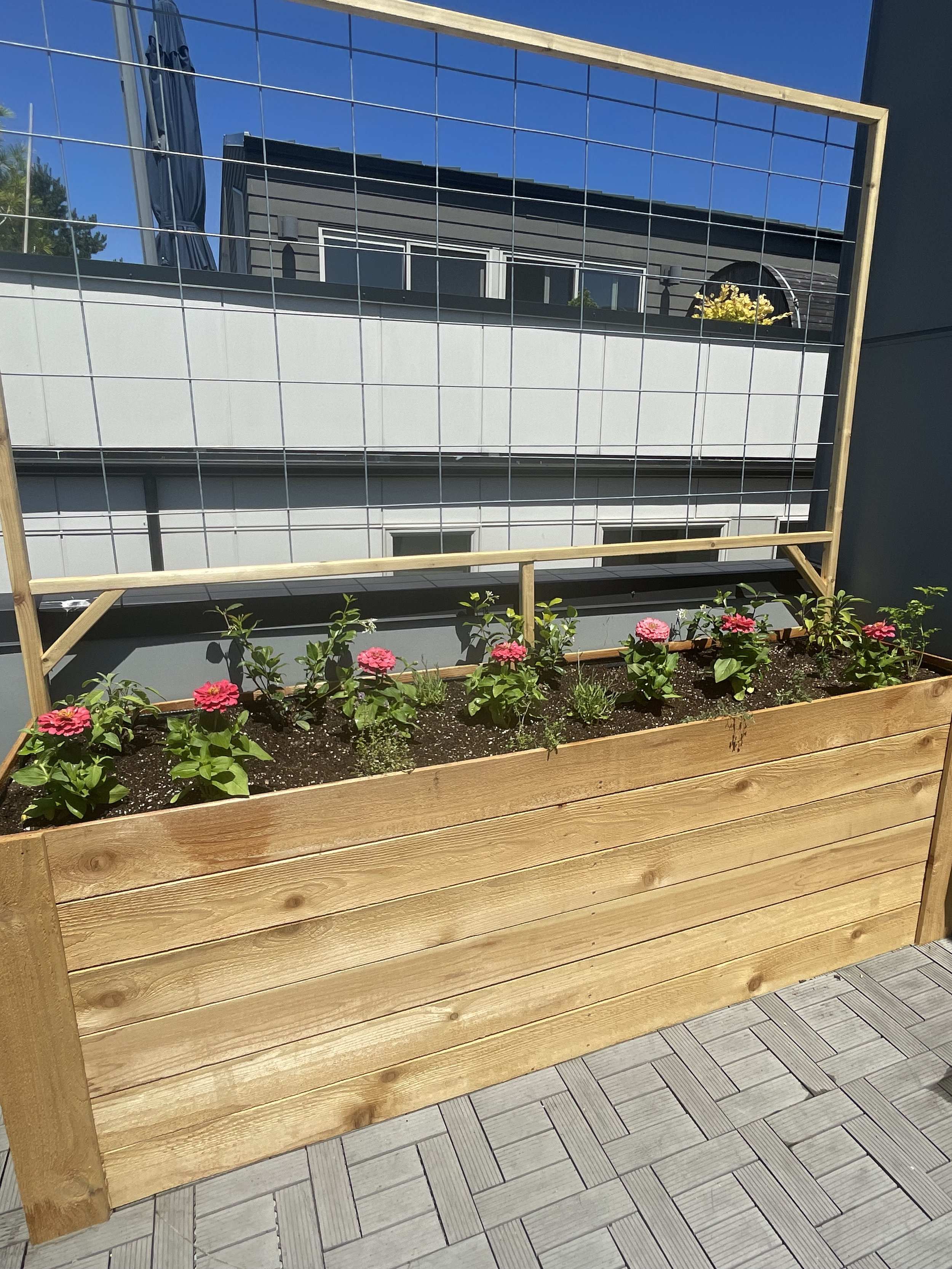 Wooden False-Bottom Raised Bed I Built