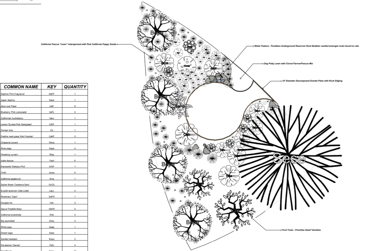 Front Yard Design Plan