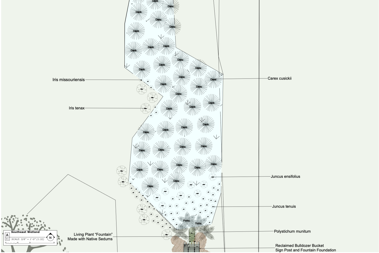 Closeup of Wetlands Planting Design