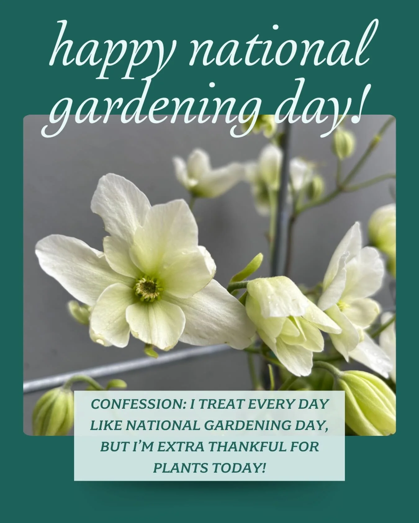 This National Gardening Day, I&rsquo;m celebrating by becoming a sponsor for @tilthalliance 🌸 They are an incredible organization that helps Washington farmers, gardeners, and communities build a better food future through advocacy, education, and c