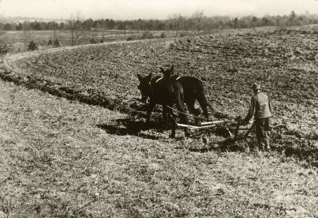 an-early-use-of-contour-farming-during-the-dust-bowl-nrcsdc01010-d0e717-1024.jpg