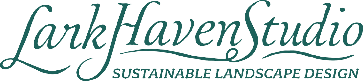 Lark Haven Studio