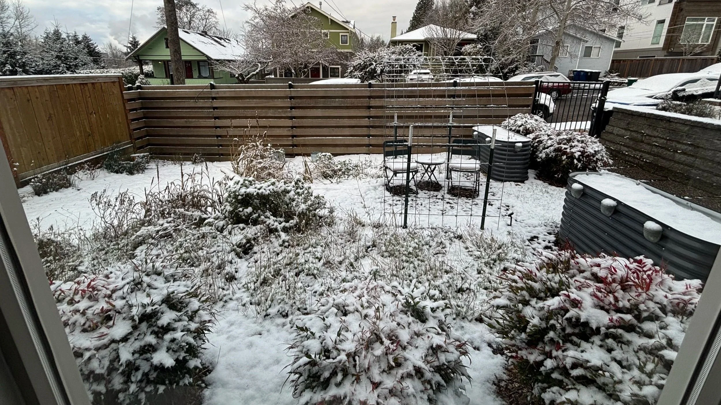 The garden resting as it is covered in snow in the winter
