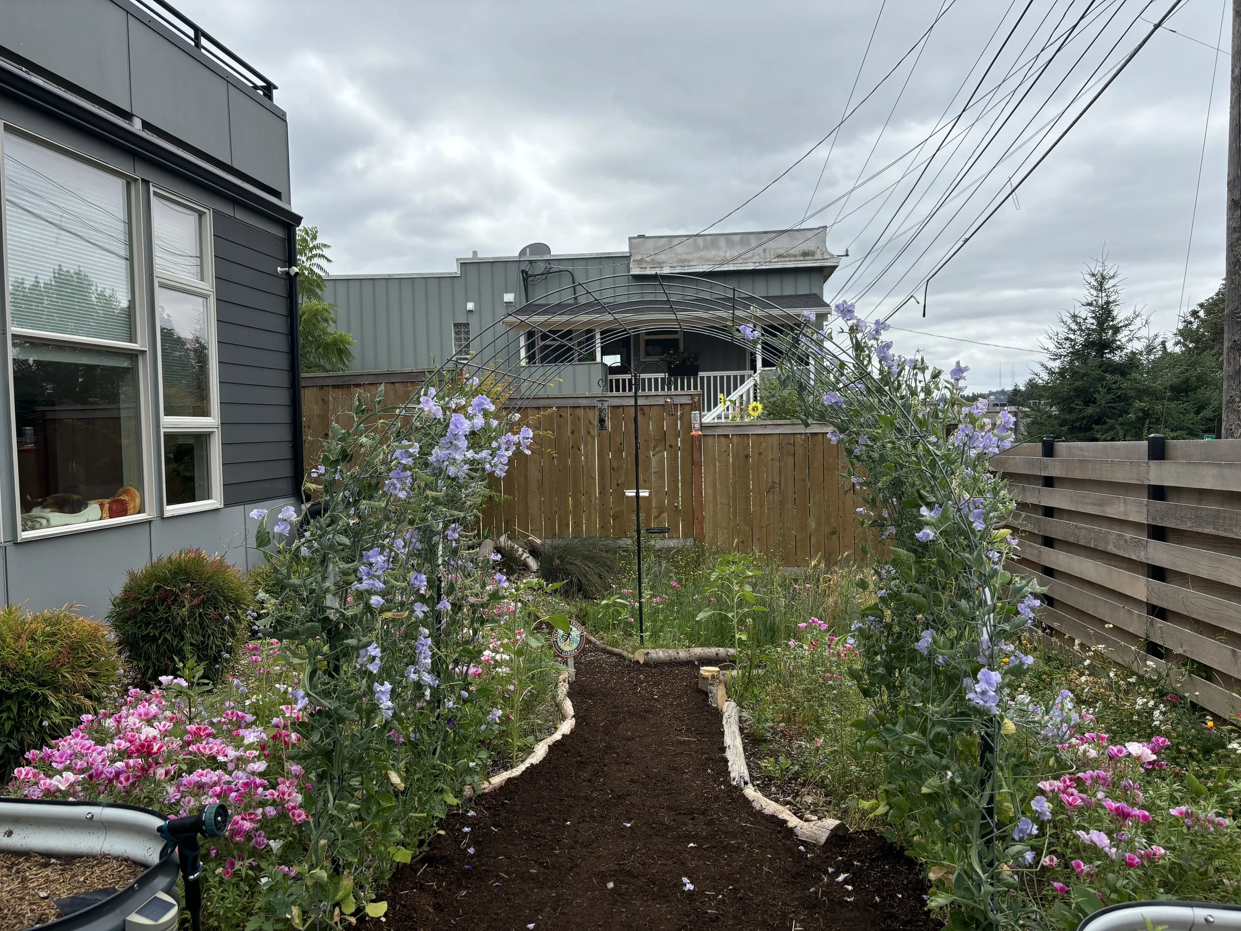 Native Wildflower Meadow