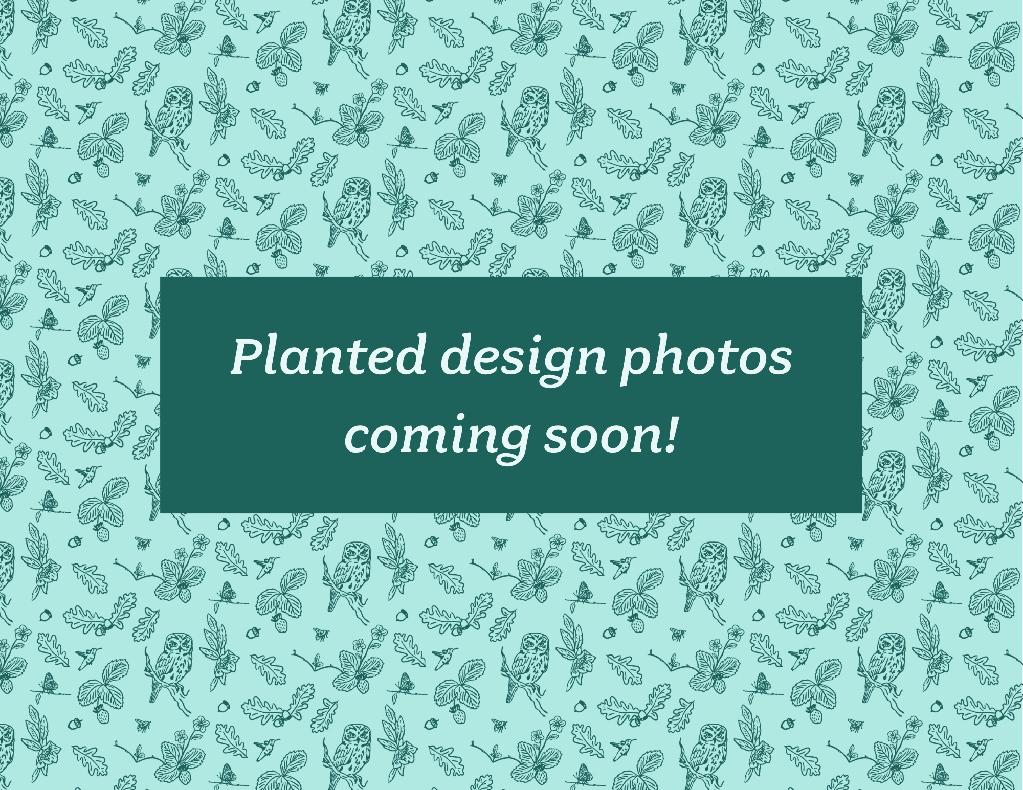 Planted design photos coming soon!.png