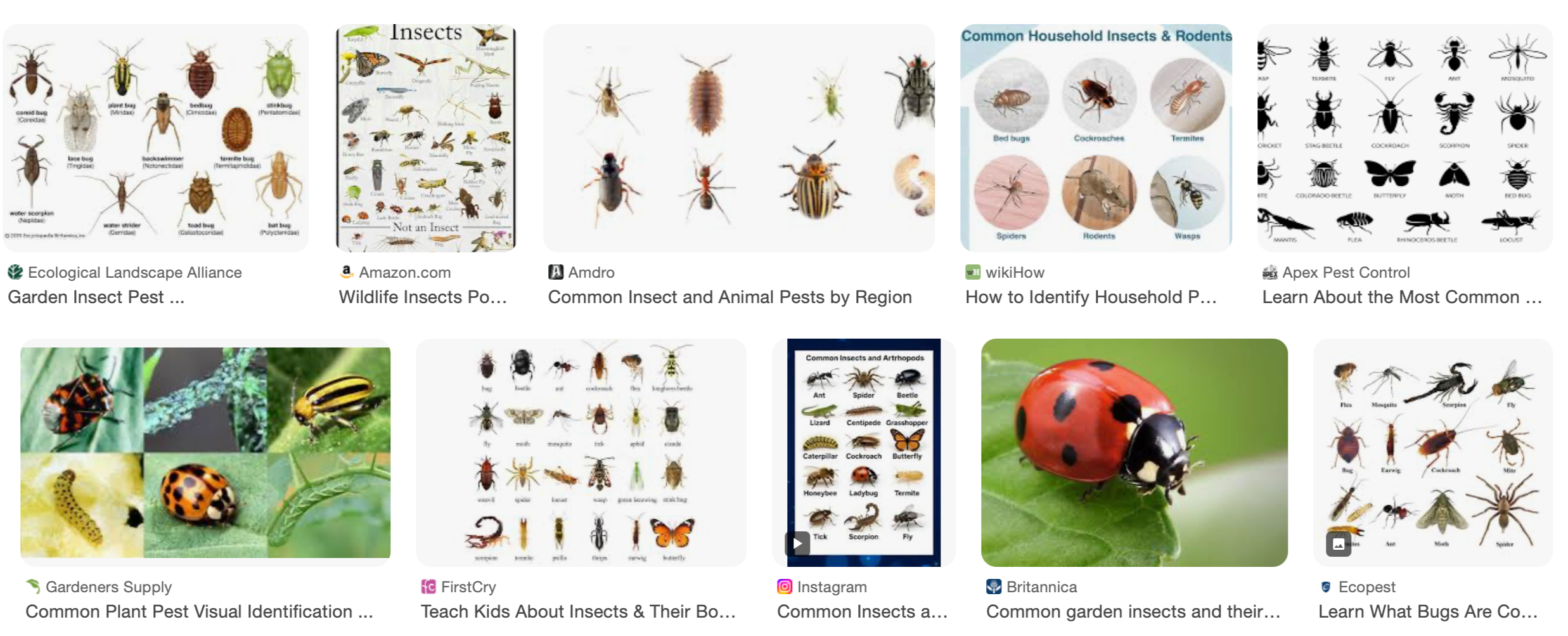 screenshot showing prevalence of pest responses to common insect search
