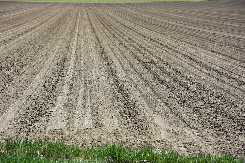 A tilled field showing tire compaction and dry dusty dirt