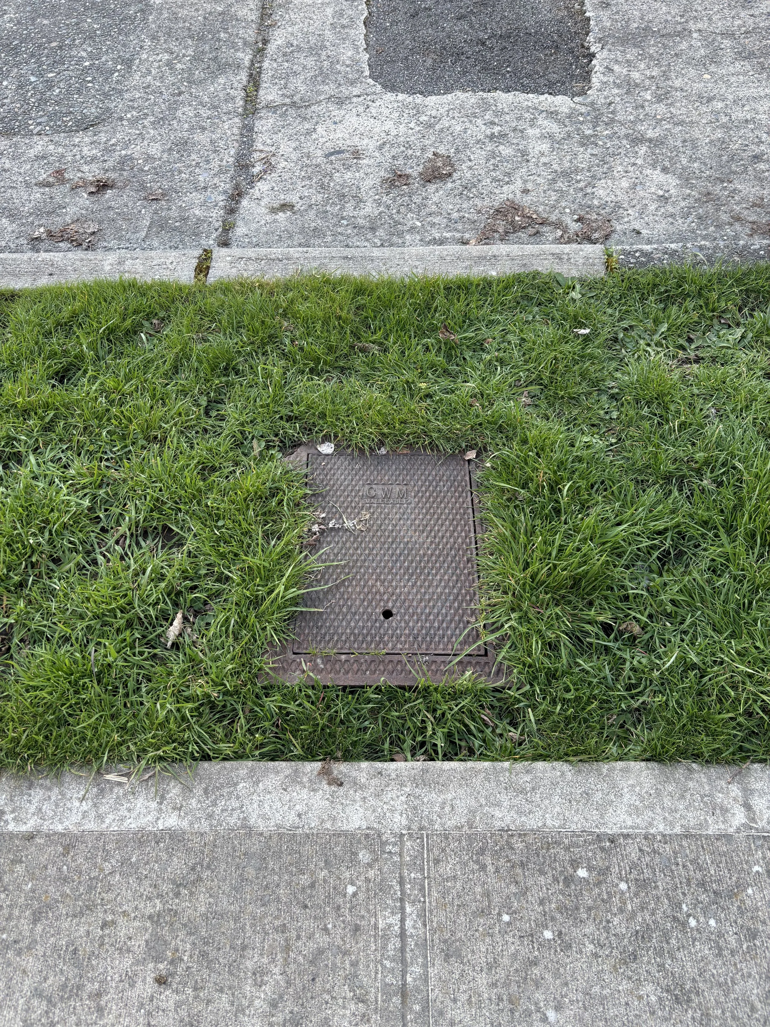 Overgrown Utility Access