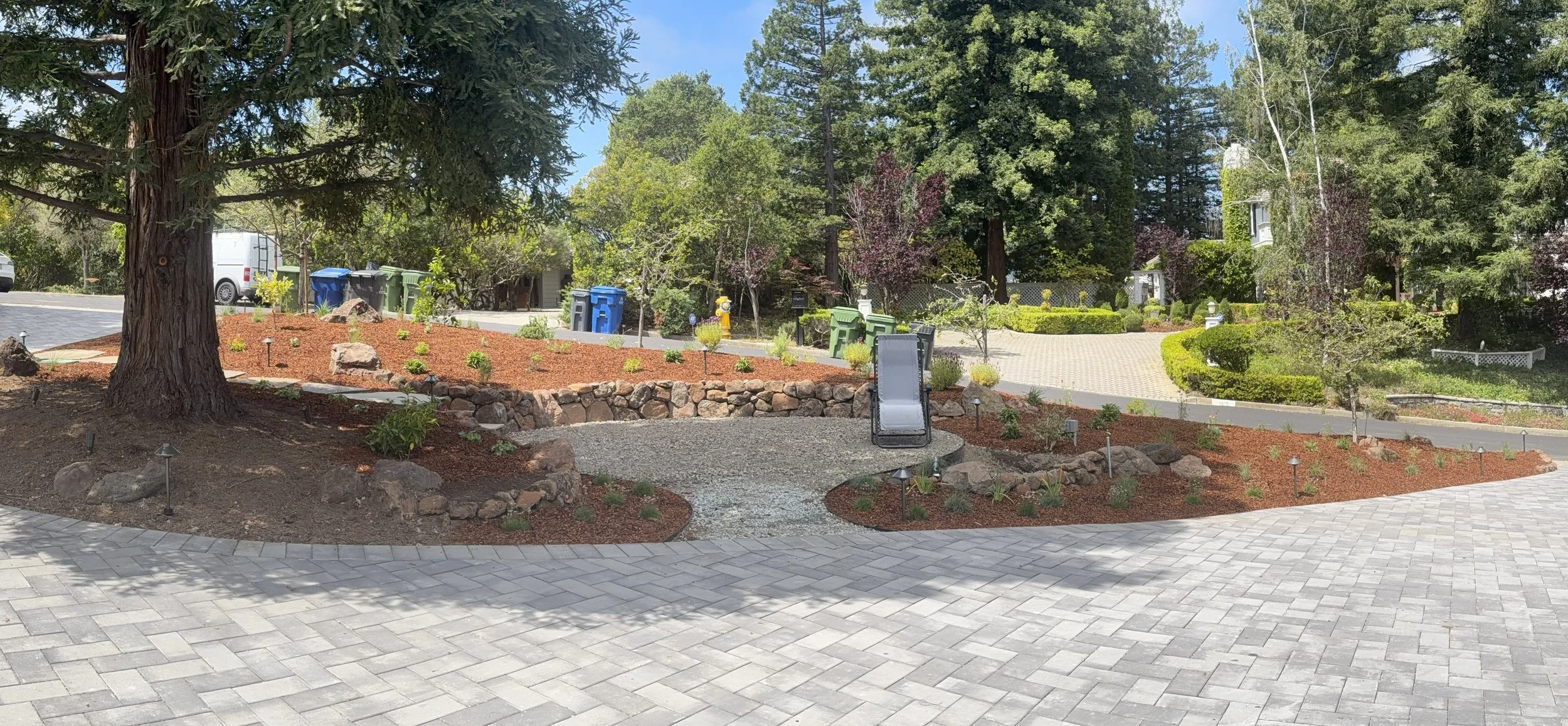 Plant Install Day