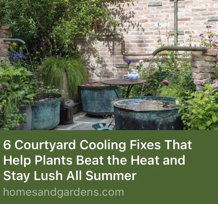 Courtyard Cooling Article.jpg