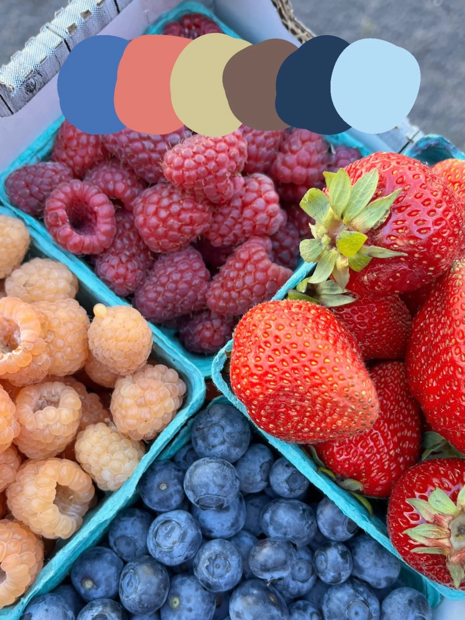 hello, september 👋🏻 

it&rsquo;s easy to get swept up in life during a month filled with transition and new routines. in honor of back-to-school season, we&rsquo;re bringing the primary colors to our grid this month.

during september, we&rsquo;ll 