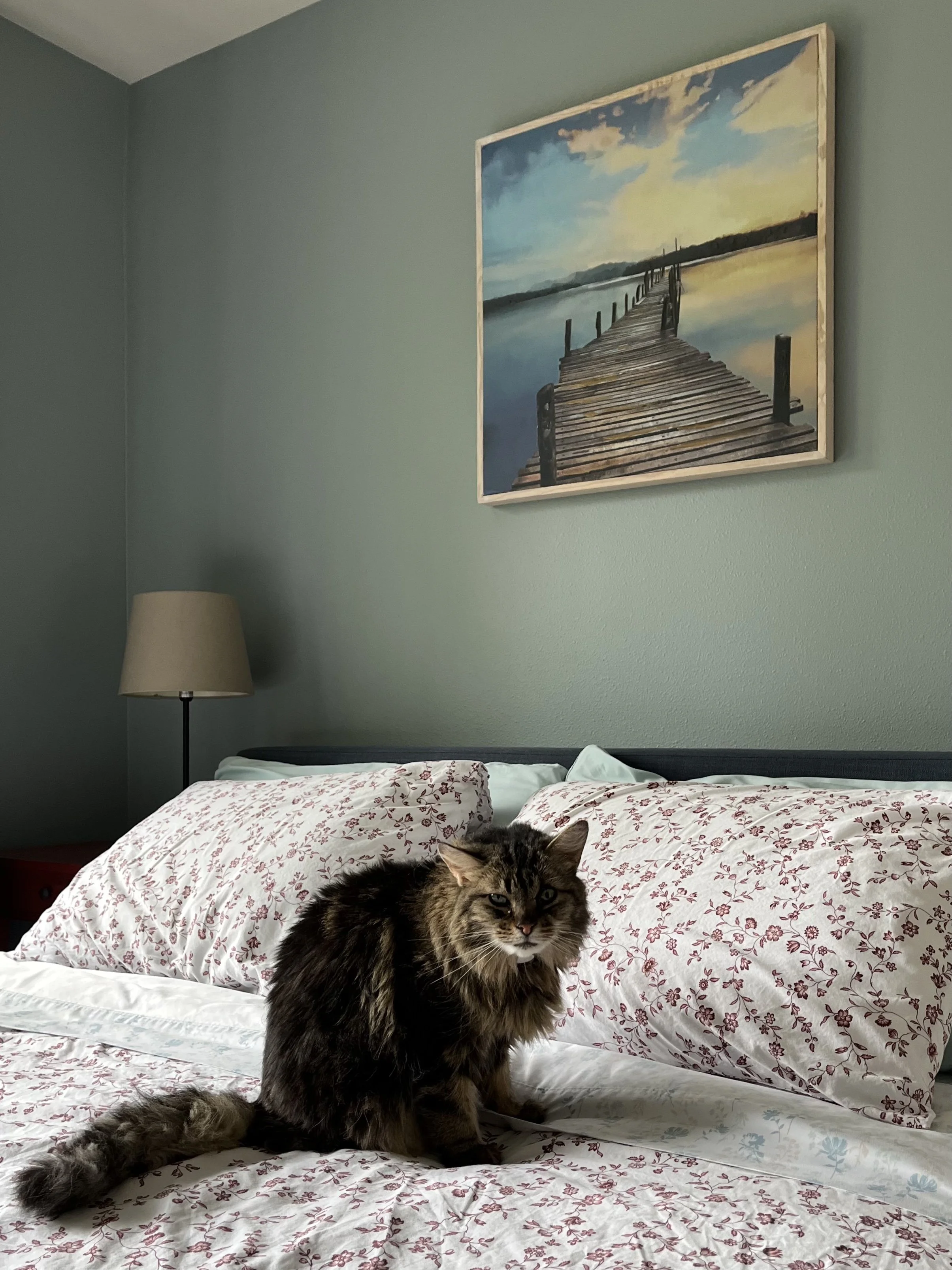 soft and airy blue guest bedroom paint color with red floral sheets and a sweet kitty sitting on the bed