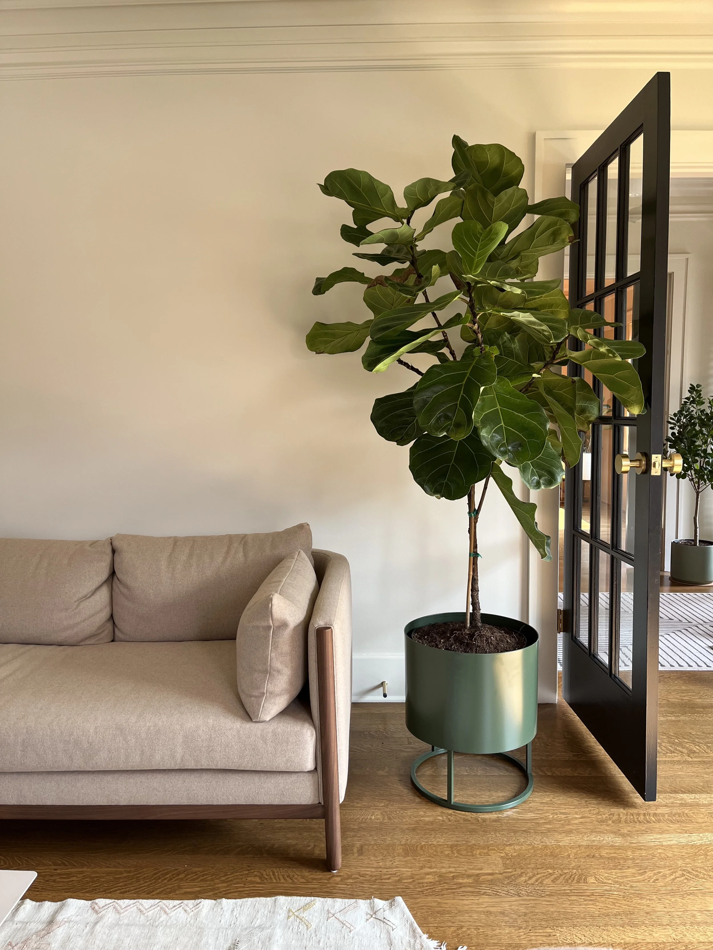 AFTER - living room 7.jpg