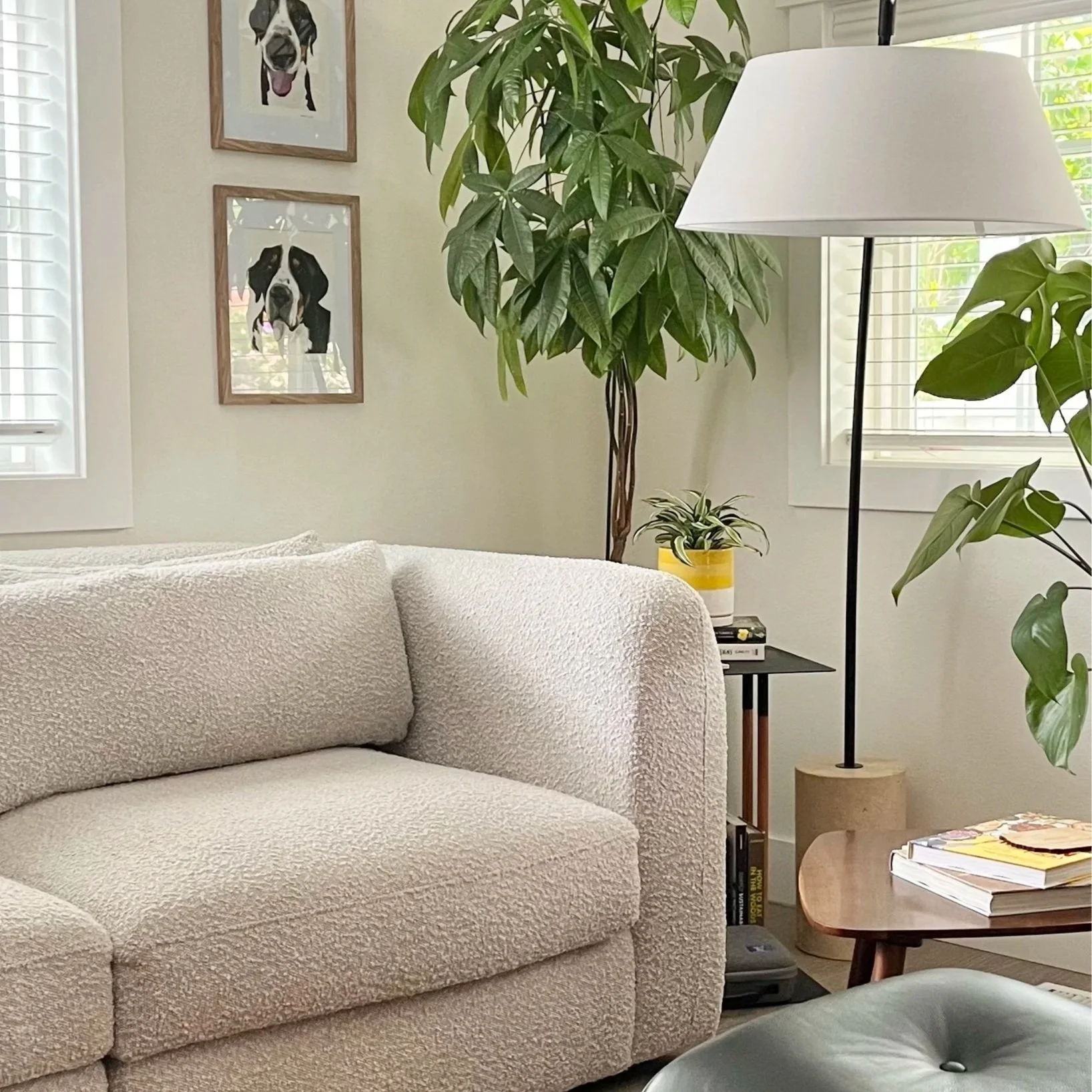 A soft and inviting creamy white living room with a white boucle sofa and plants.