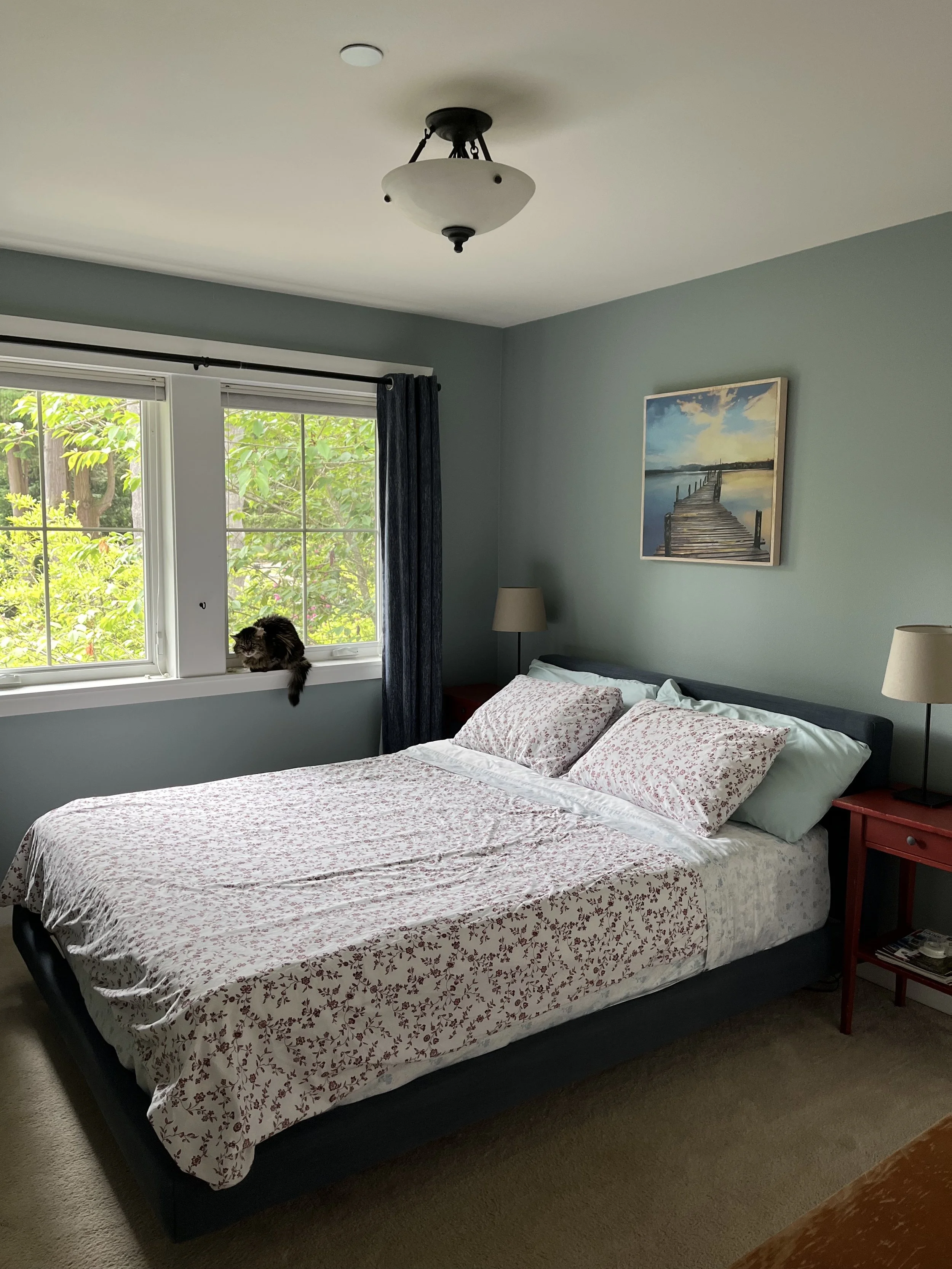 soft and airy blue guest bedroom paint color with red floral sheets and a furry friend perched on the window sill 