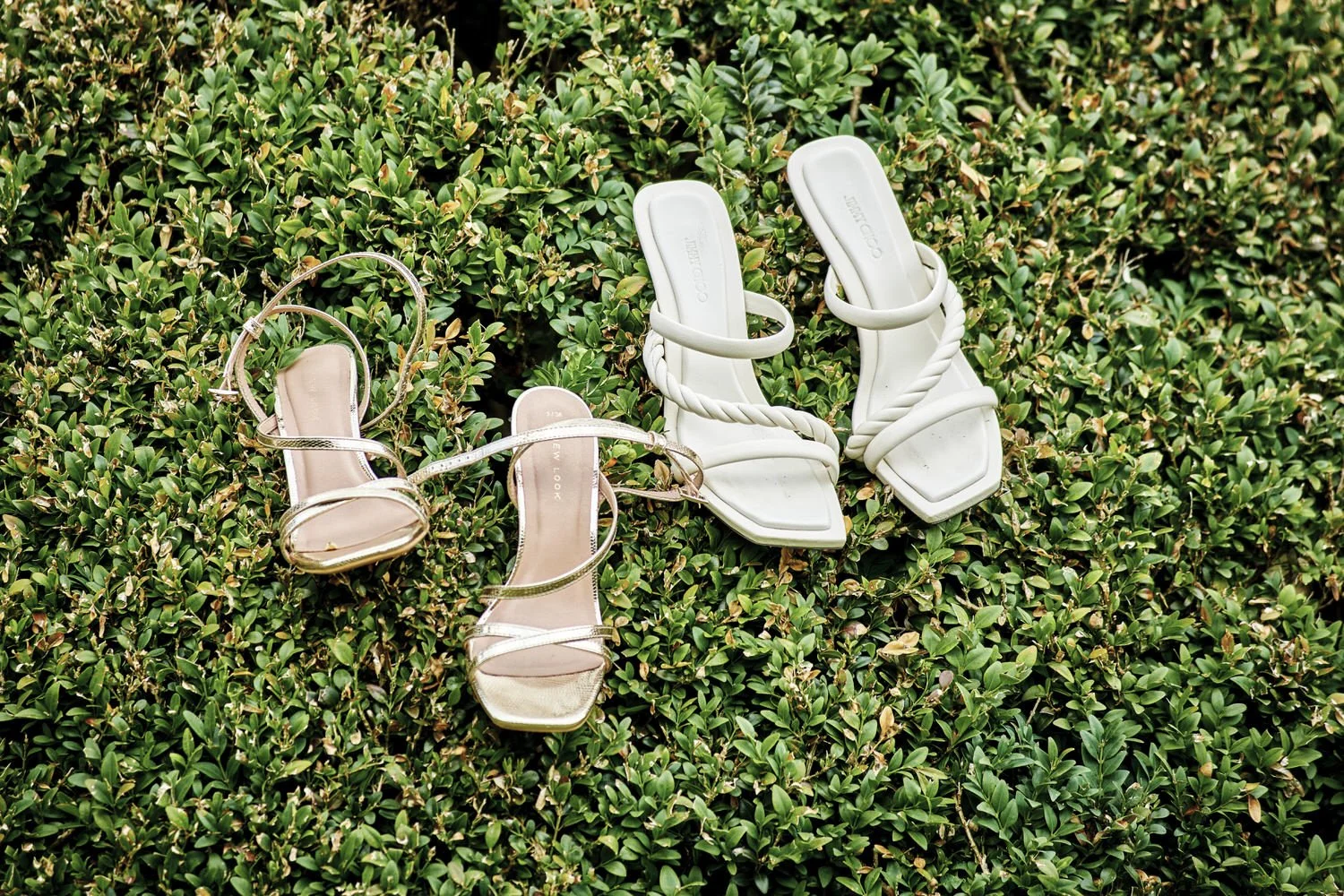 Close-up of two pairs of bridesmaid shoes left hanging in a tree.