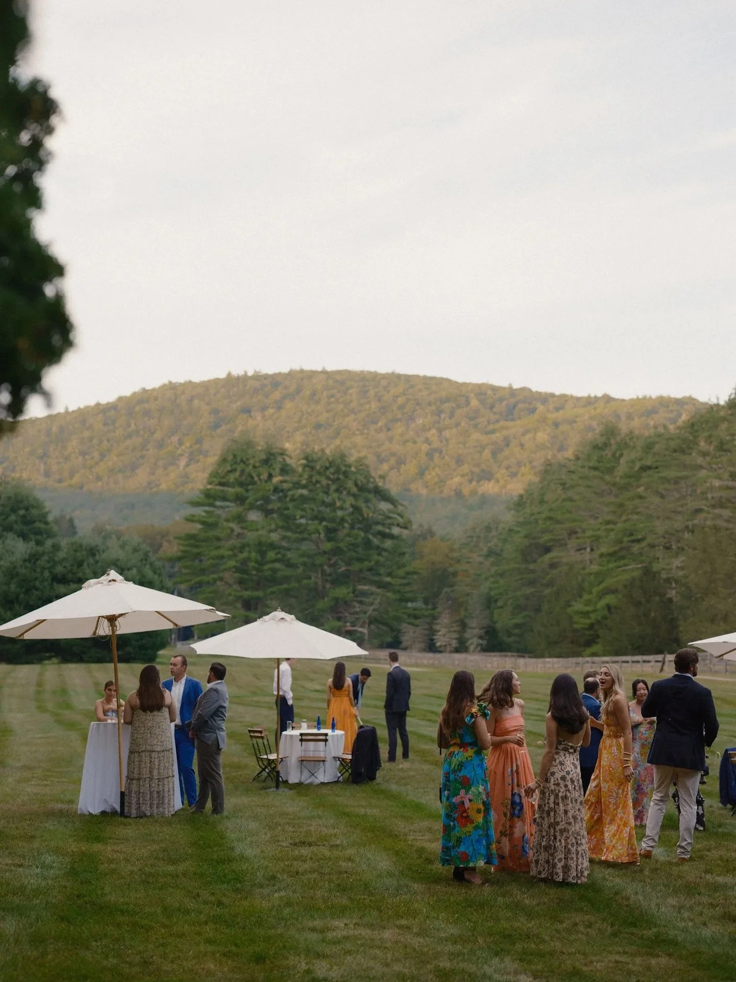 A peek into what&rsquo;s possible at a Root &amp; Ramble place 🌳&nbsp;From wellness and group retreats to brand photoshoots and movie magic, we can&rsquo;t wait to bring your vision to life!