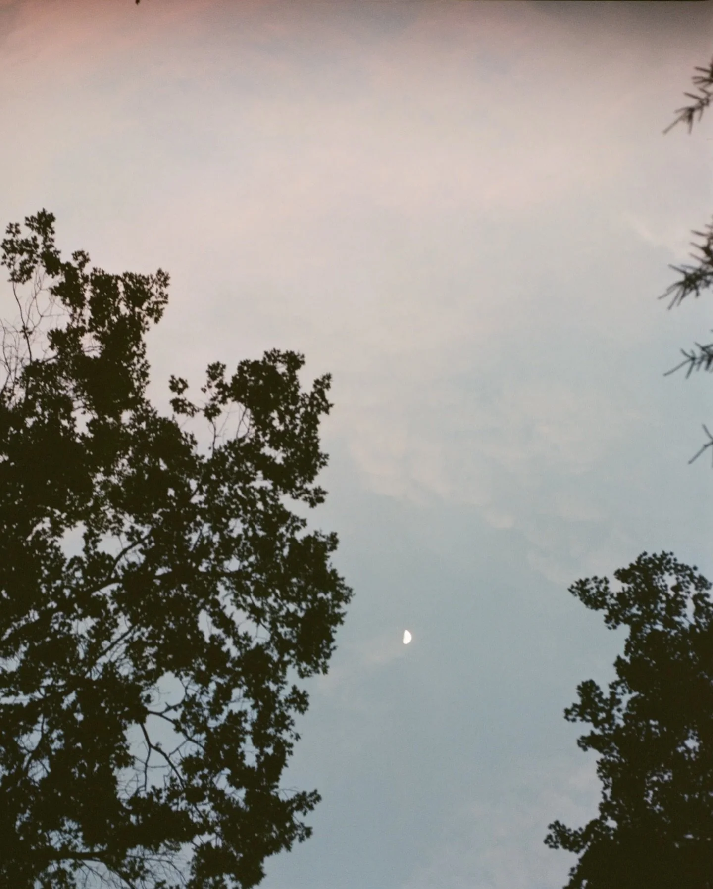 Feeling especially grateful for an incredible 2025 &mdash;&nbsp; a year we grew the Root &amp; Ramble family, welcomed guests from near &amp; far and got to be the destination for so many of your happy memories (family reunions, retreats, anniversari